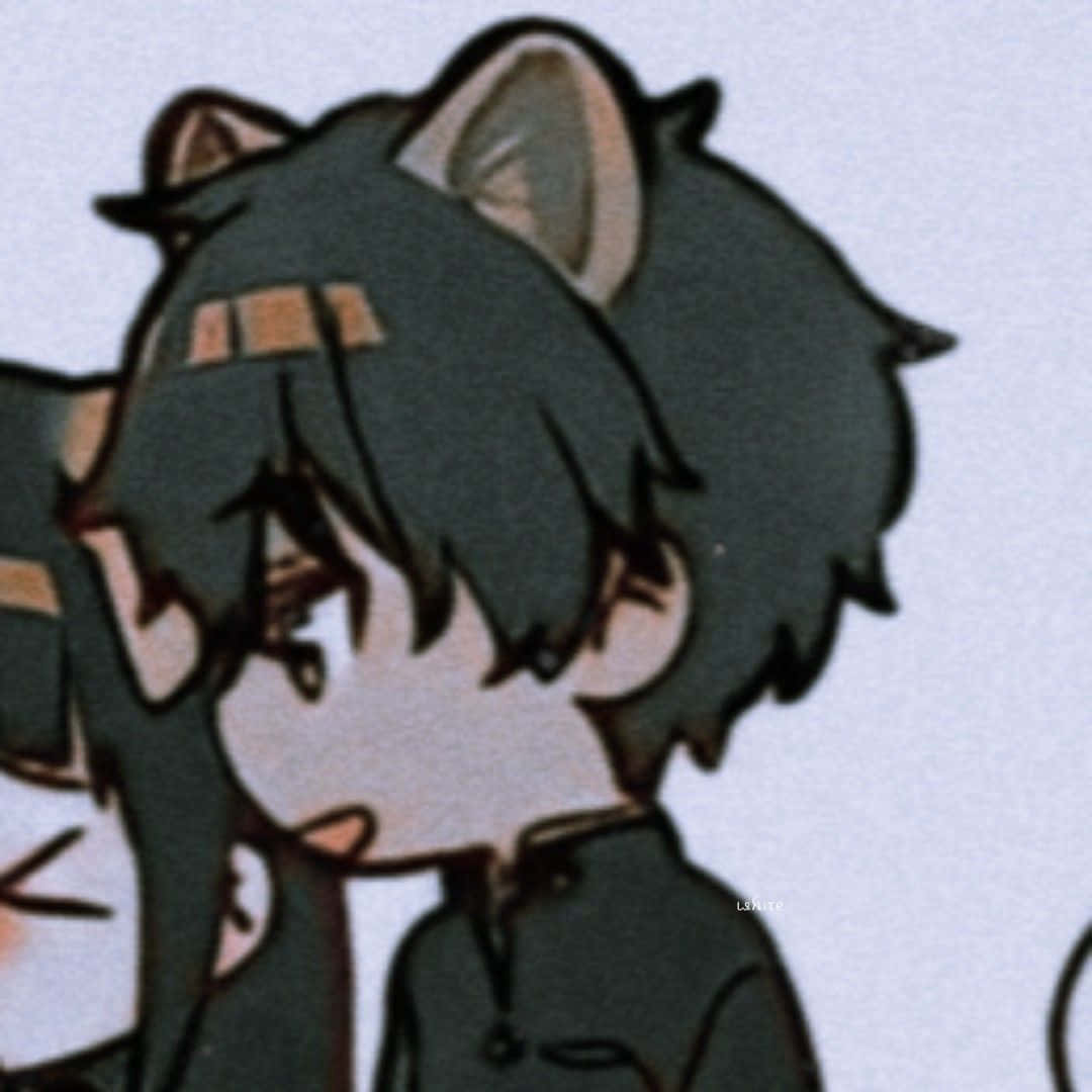 Matching Couple Pfp Anime Cat Boy