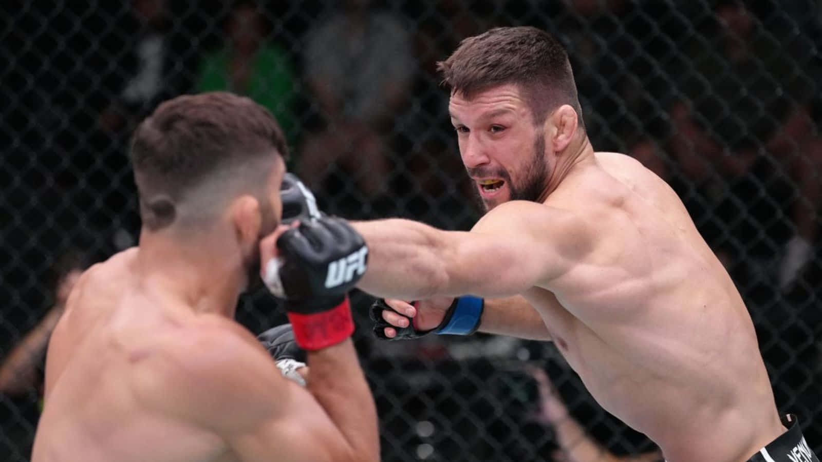 Mateusz Gamrot And Islam Makhachev Background
