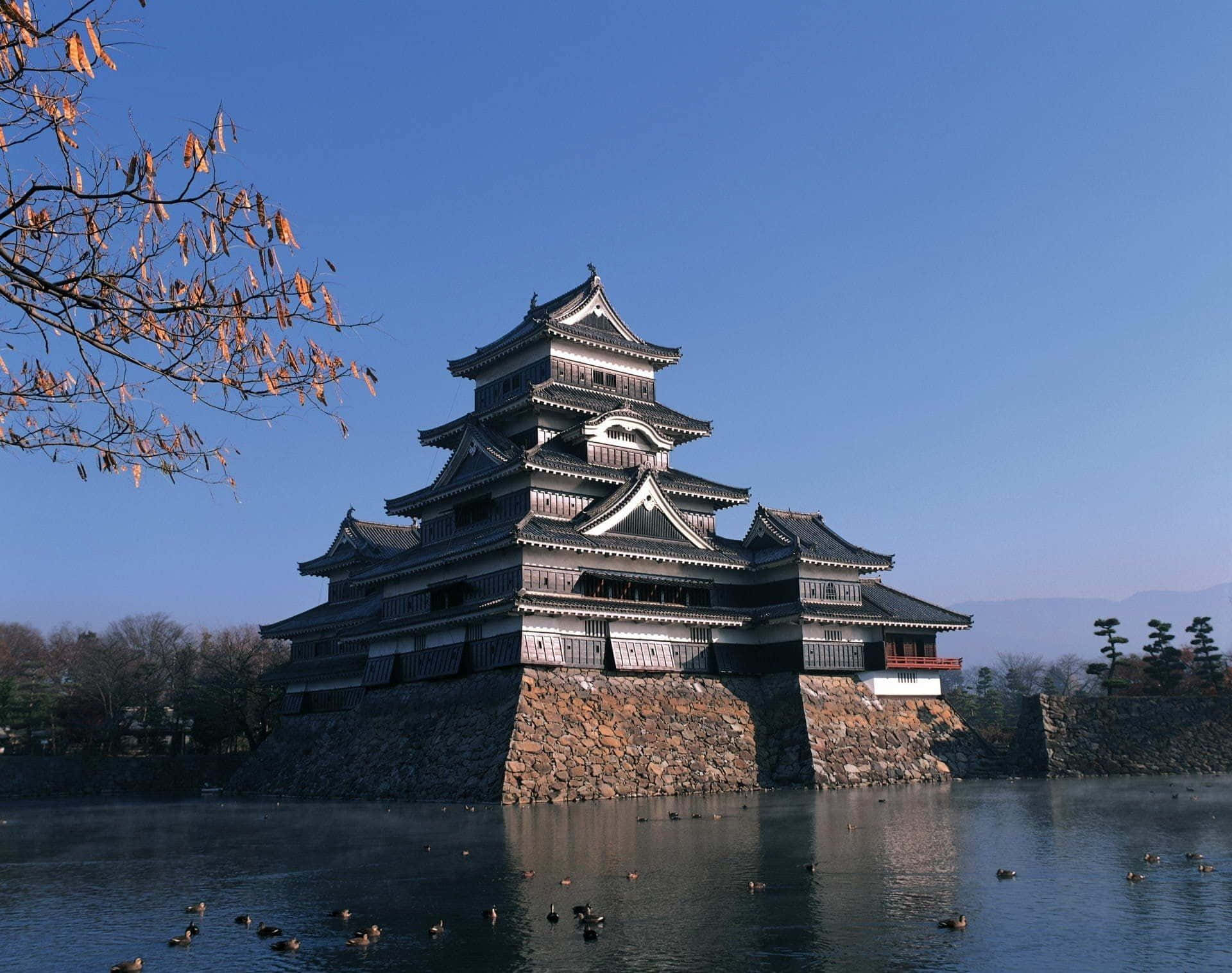 Matsumoto Castle Autumn Reflection Background