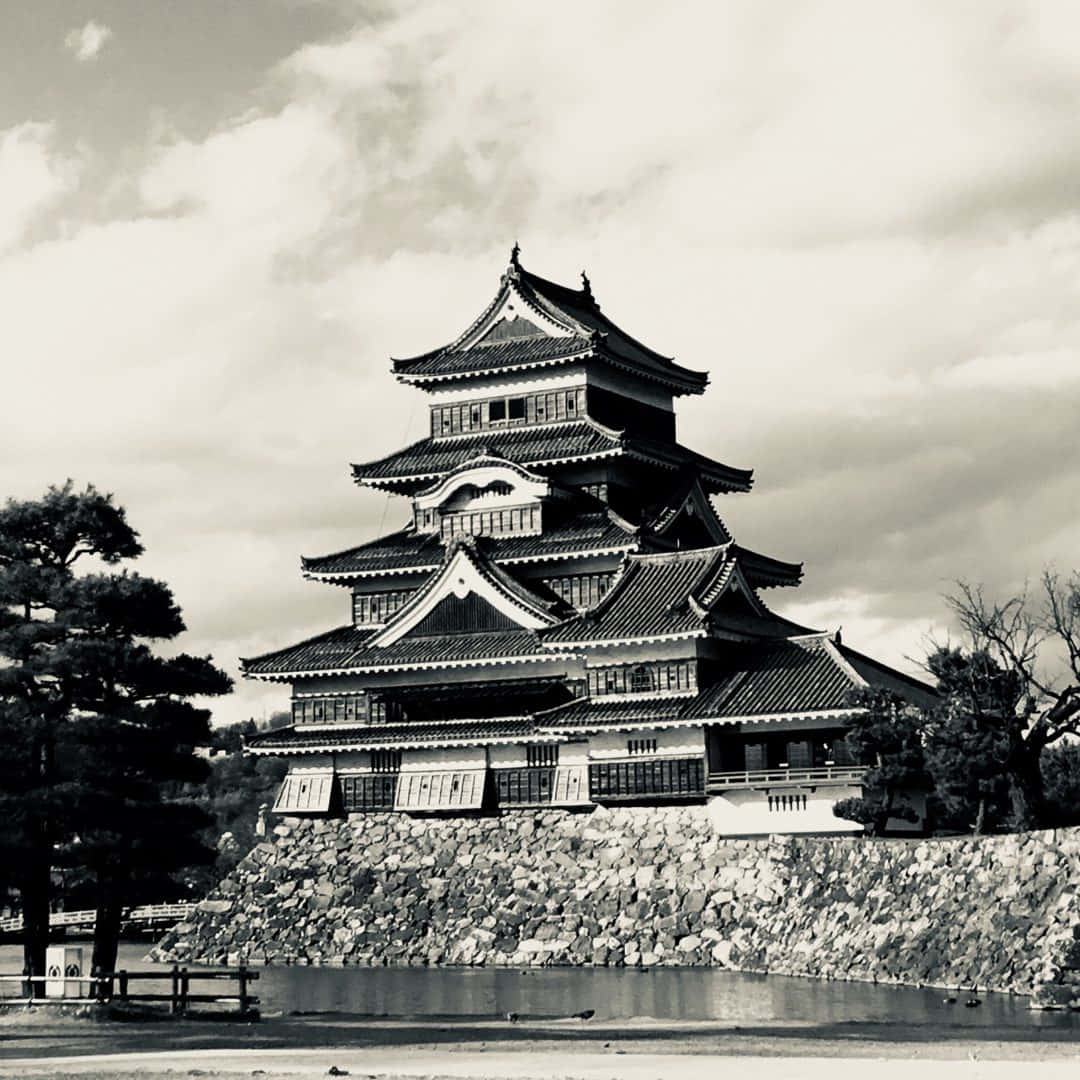 Matsumoto Castle Blackand White