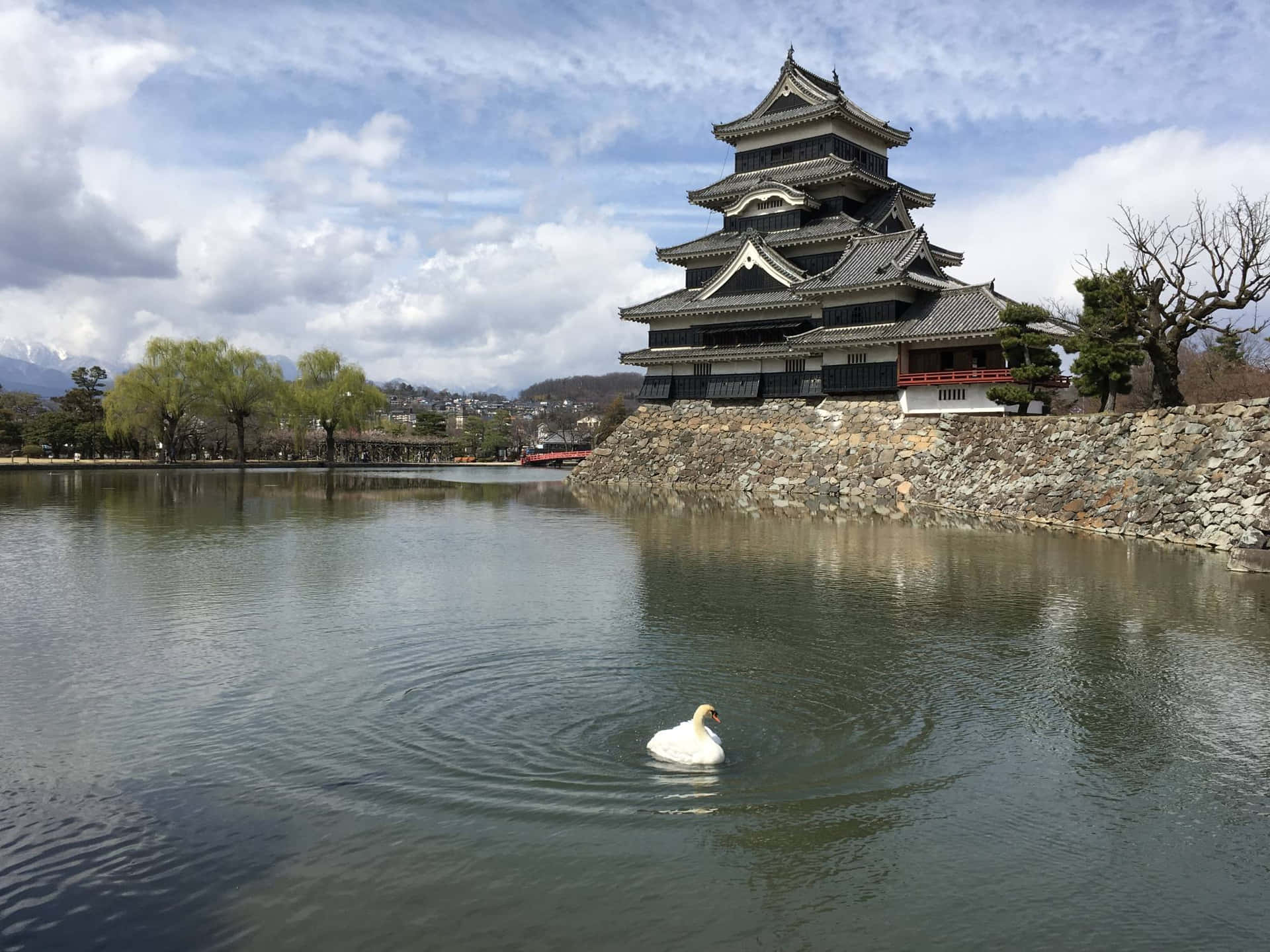 Matsumoto Castle Moat With A Swan Background