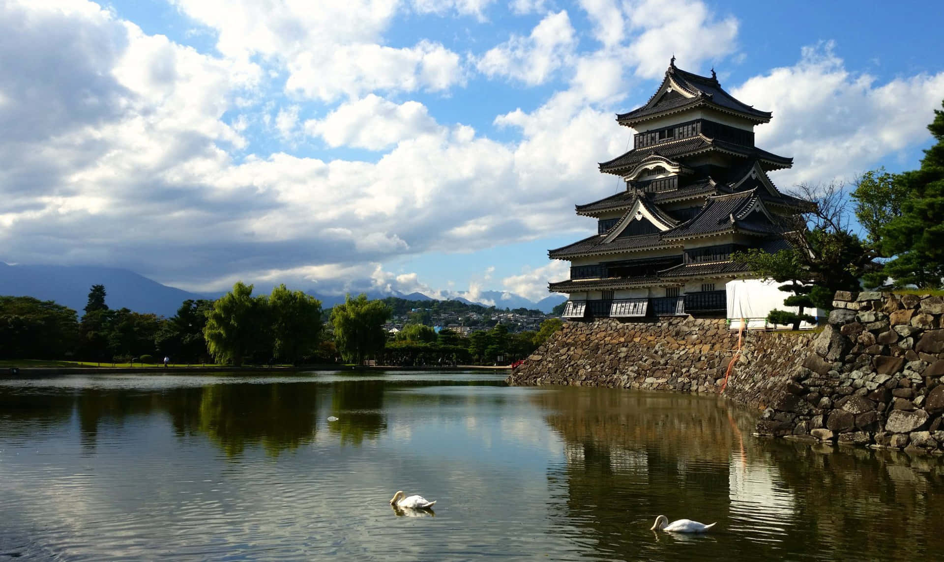 Matsumoto Castle Reflectionwith Swans Background