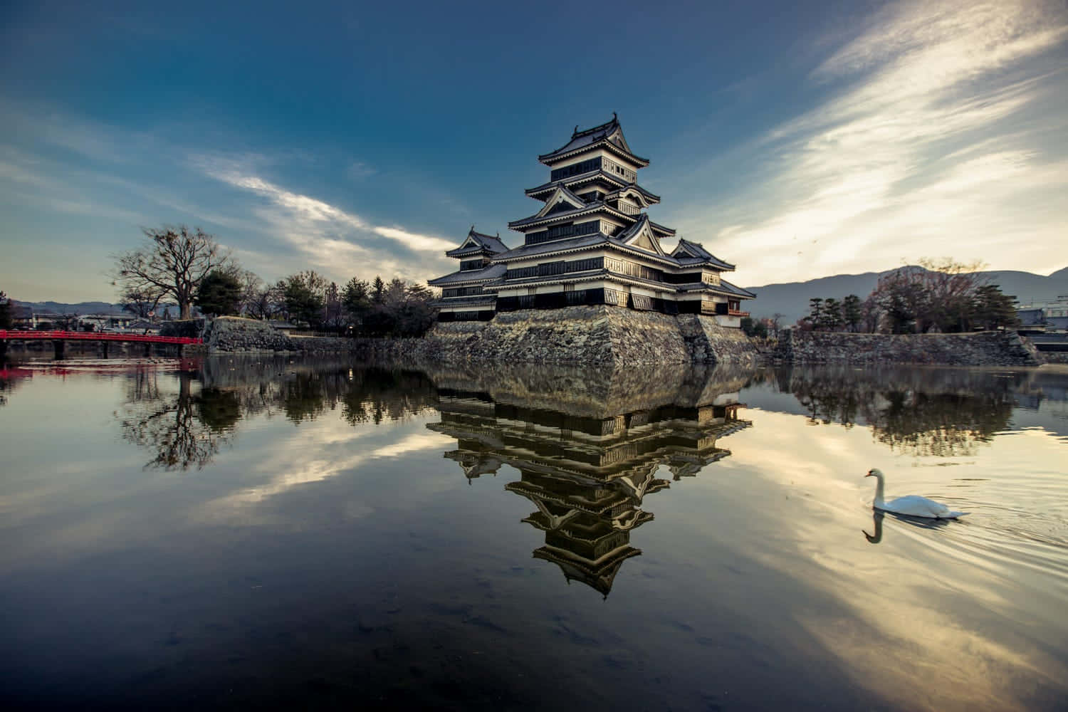 Matsumoto Castle Swan Reflection