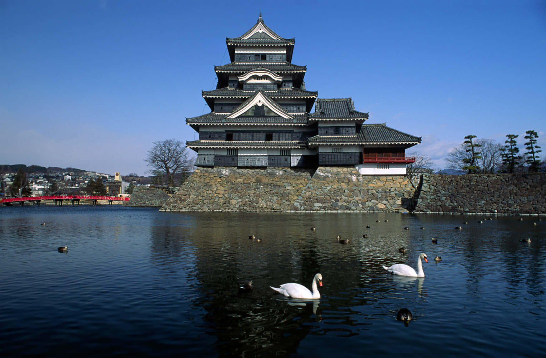 Matsumoto_ Castle_with_ Swans_ Japan