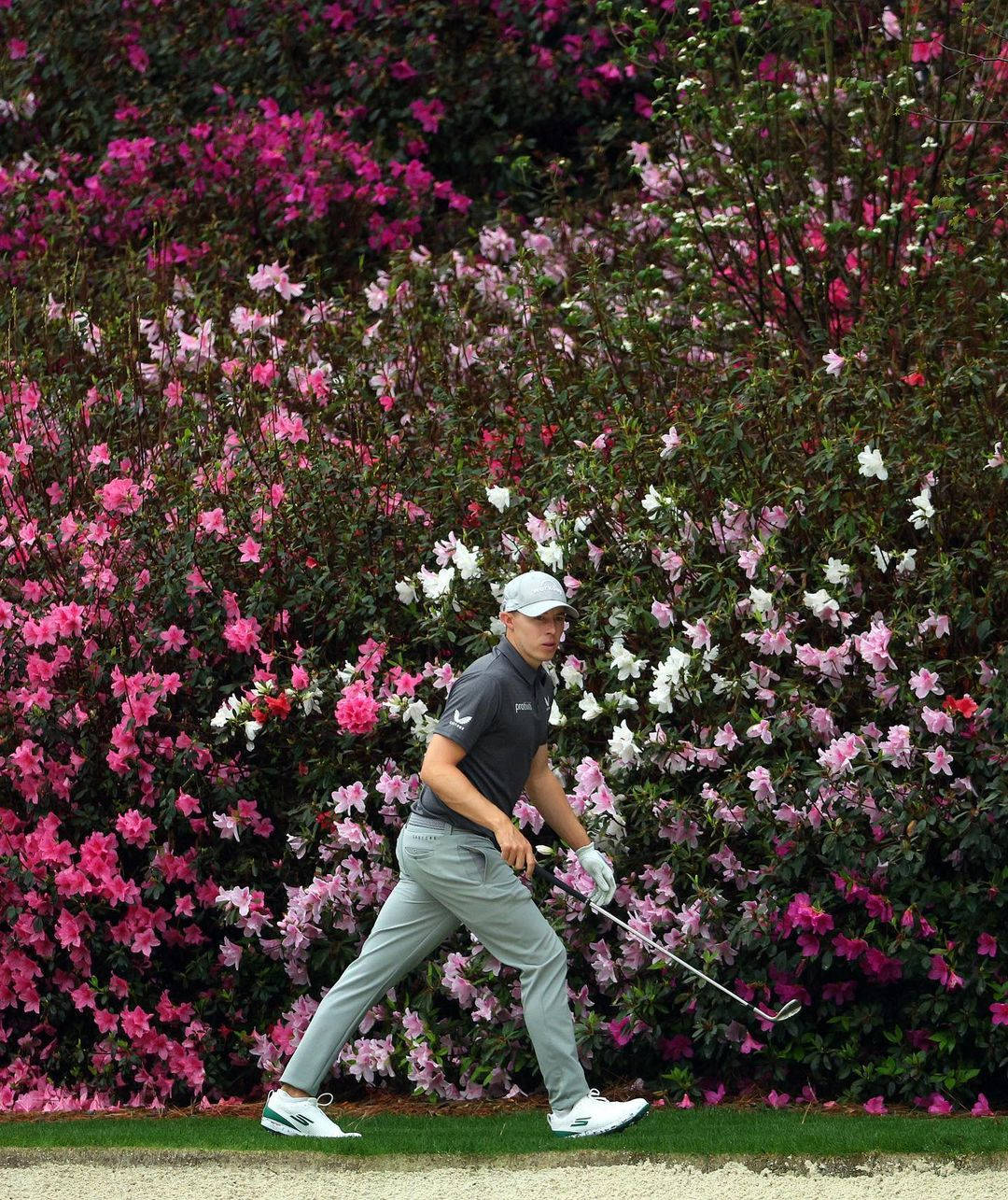 Matt Fitzpatrick Flowery Background Background