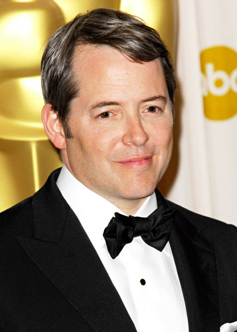 Matthew Broderick, Distinguished American Actor Background