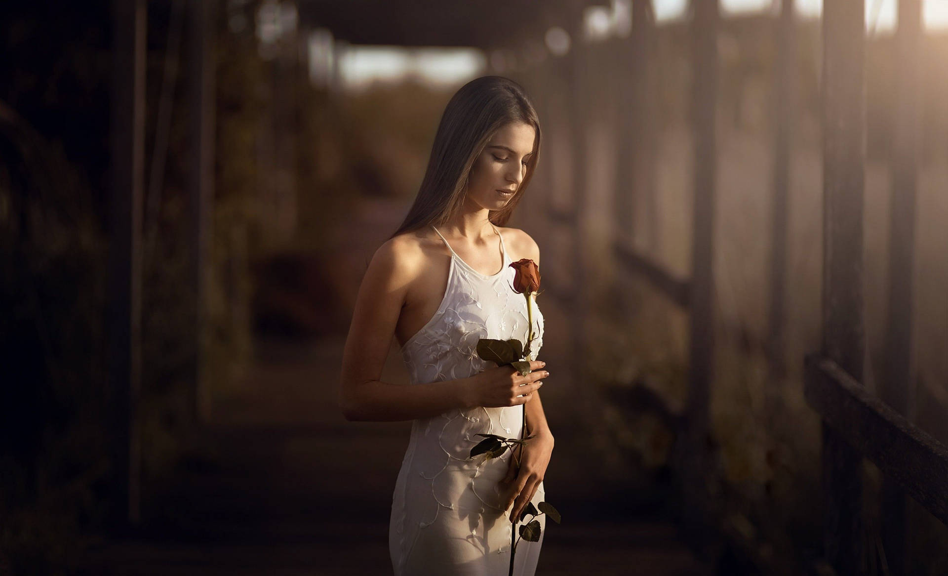 Mature Woman Holding A Rose Background