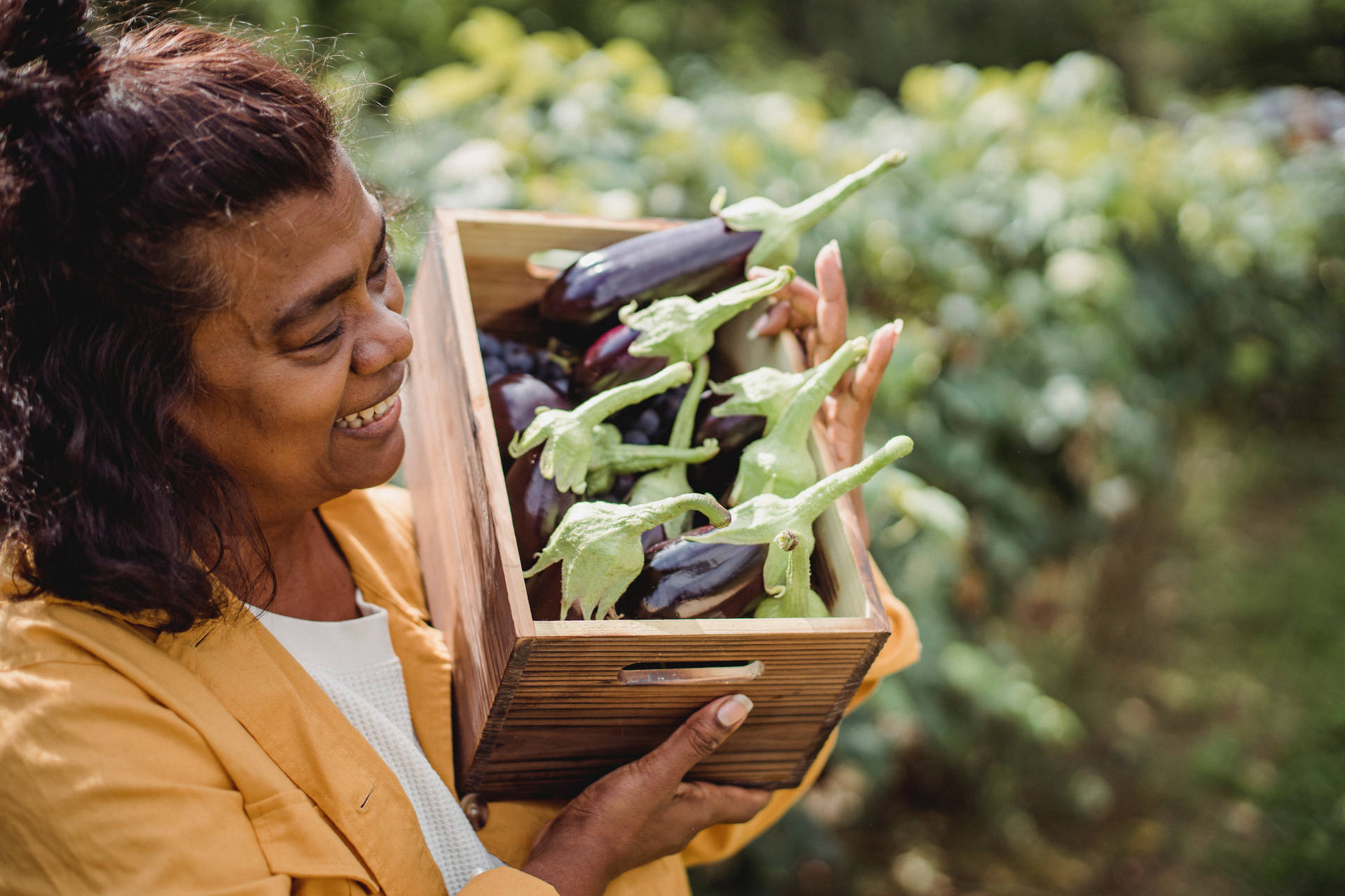 Mature Woman With A Box Of Fresh Eggplants Background