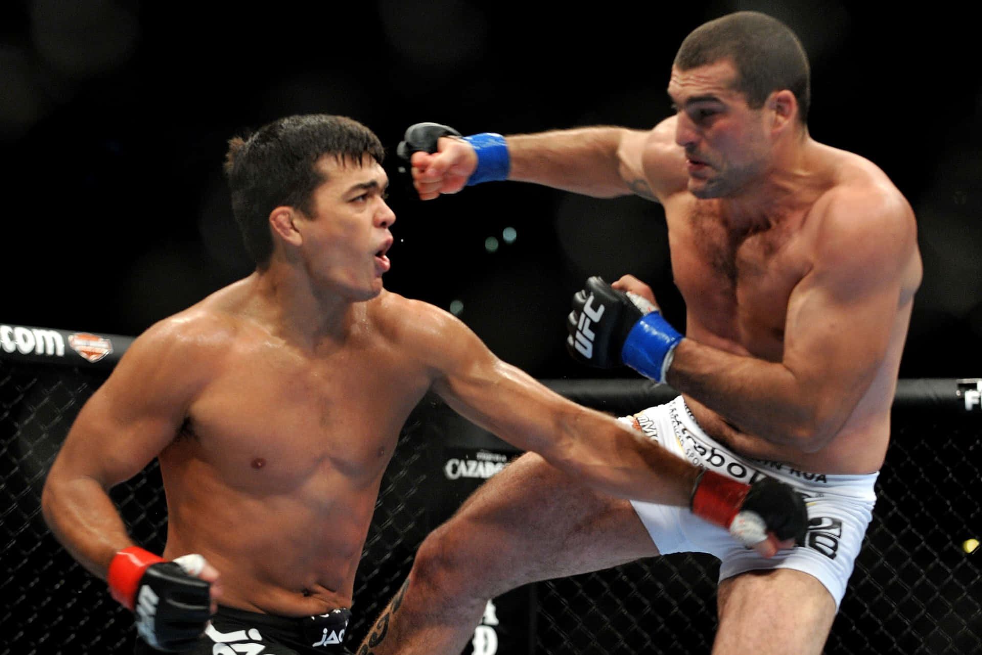 Mauricio Rua And Lyoto Machida Background