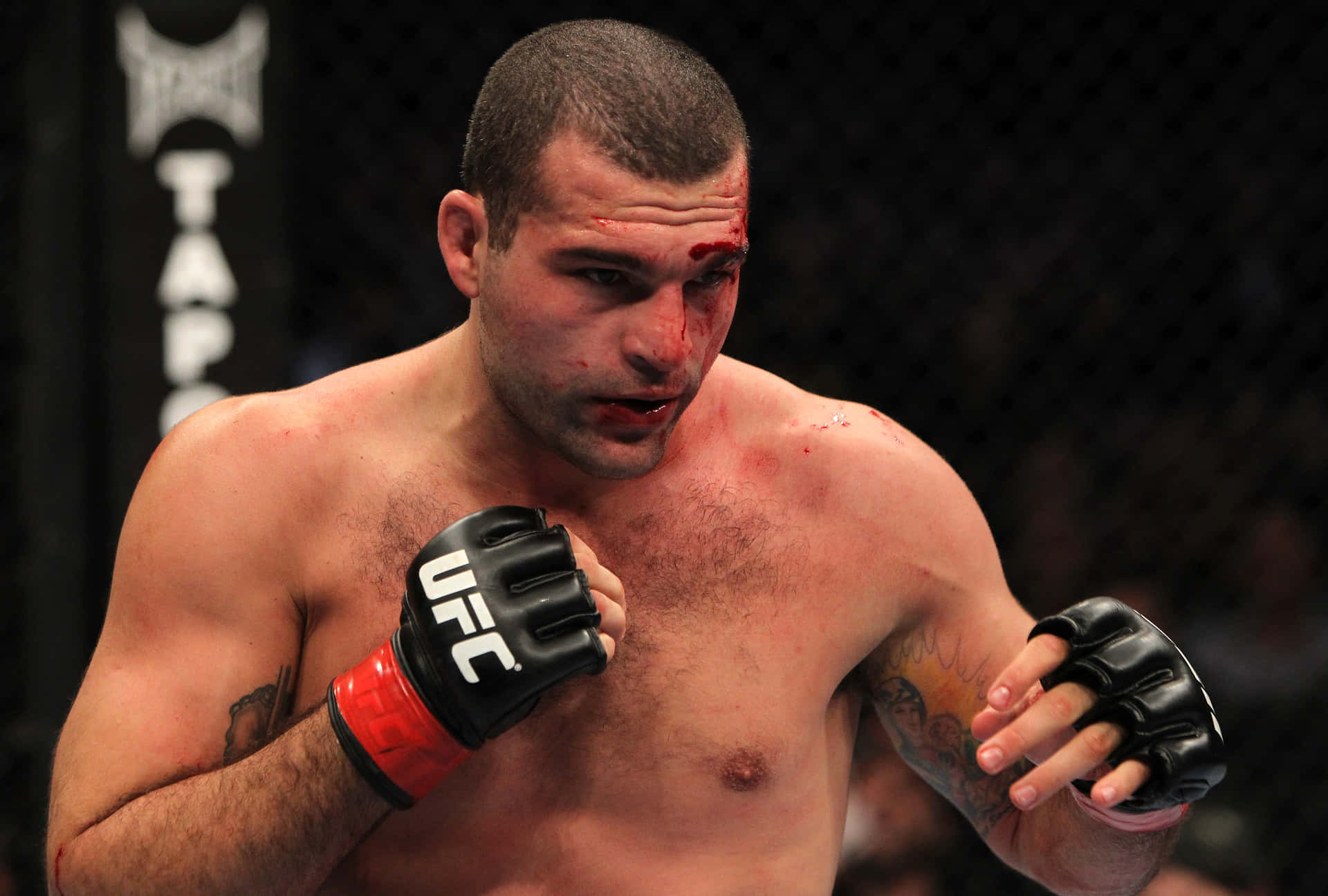 Mauricio Rua Ufc Fight Night Background