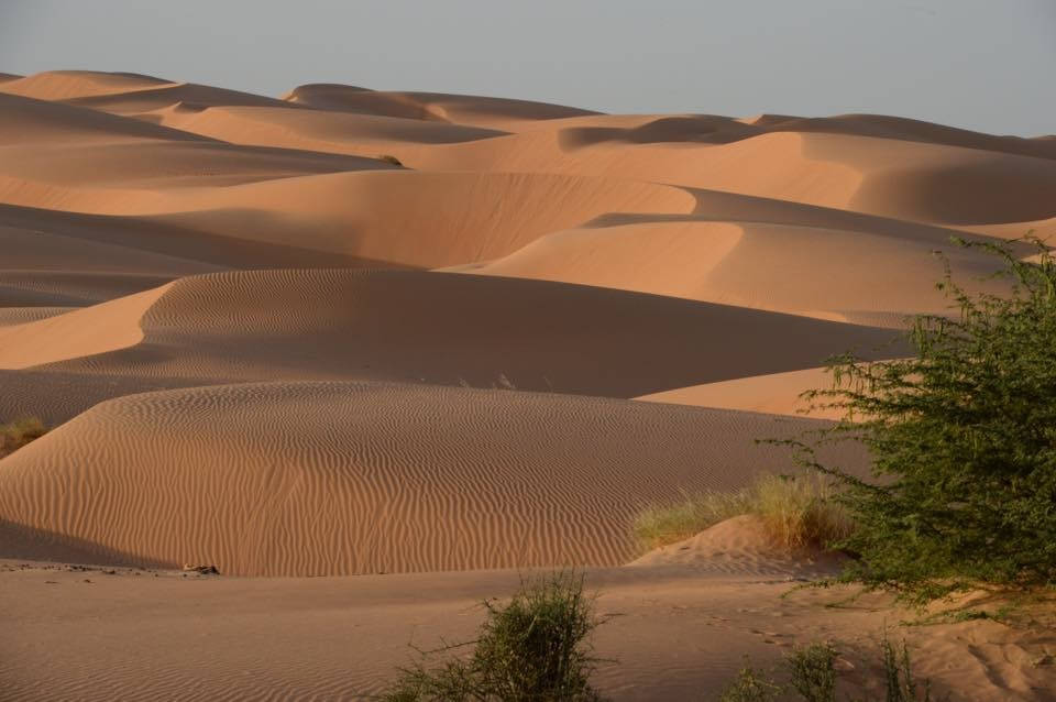 Mauritania Desert Landscape Background