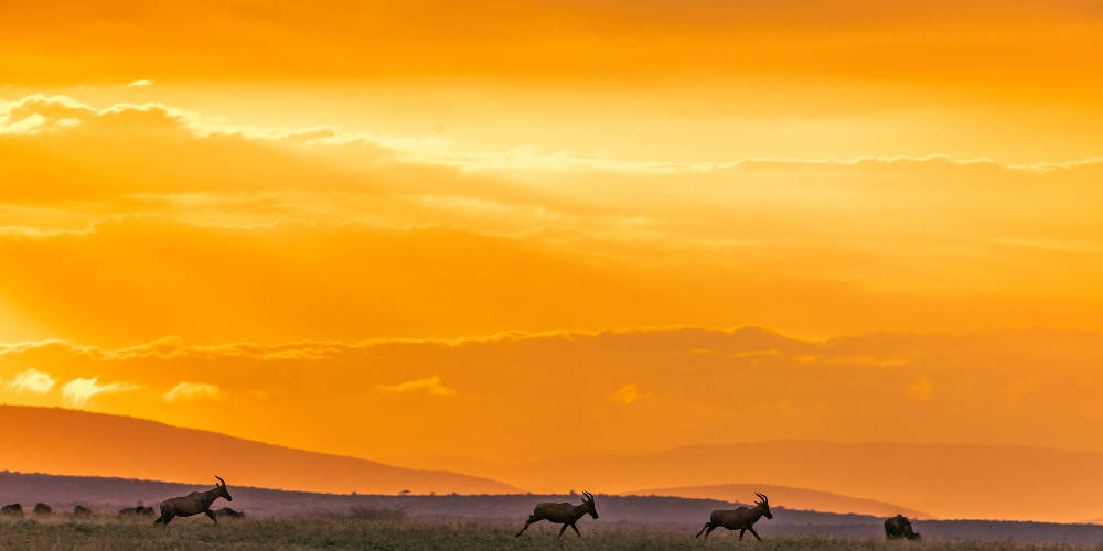 Mauritania Orange Sky Background