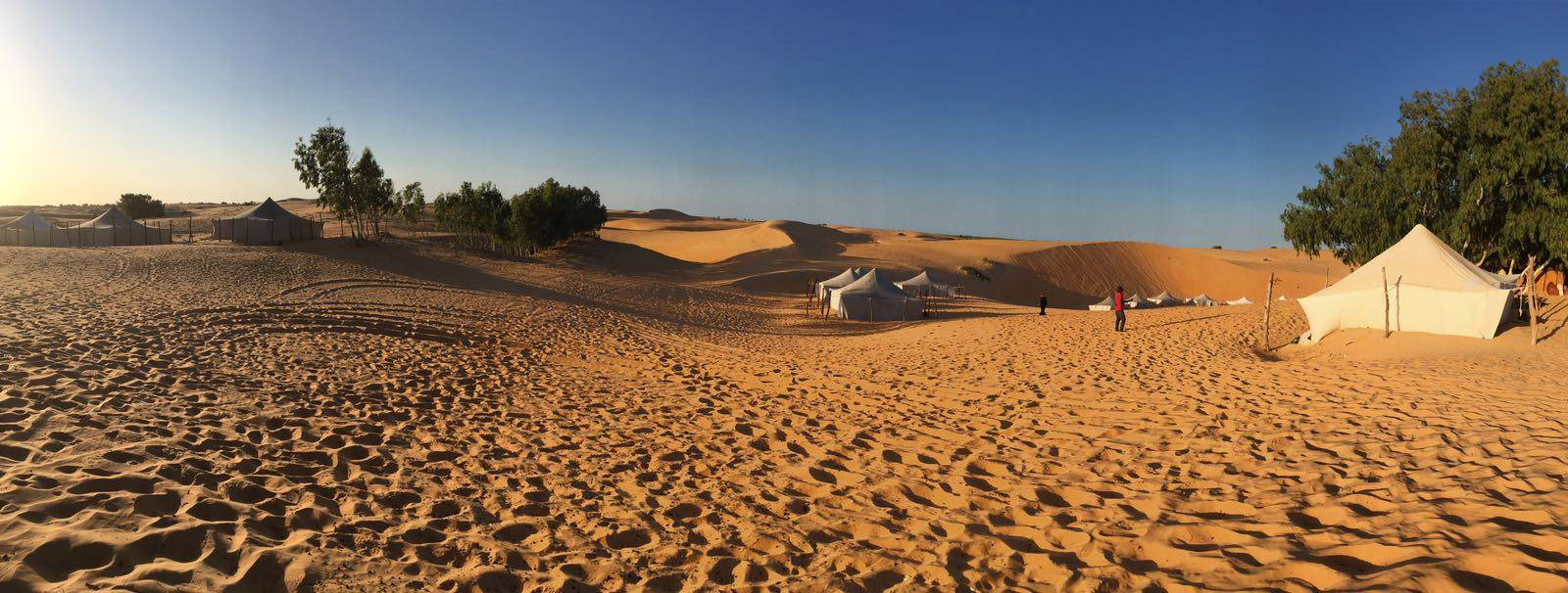 Mauritania Tent In Desert