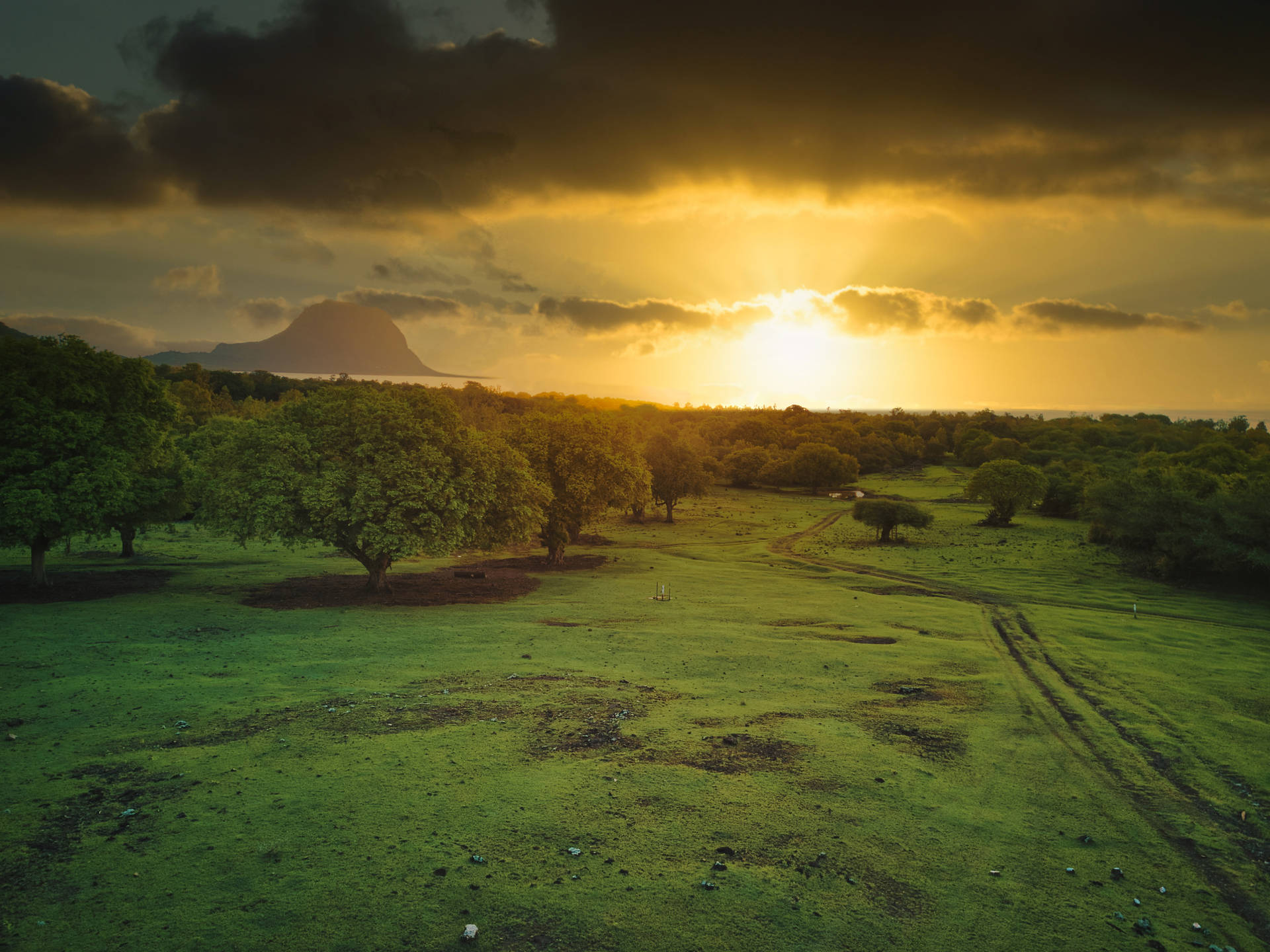 Mauritius Grassland On A Sunset