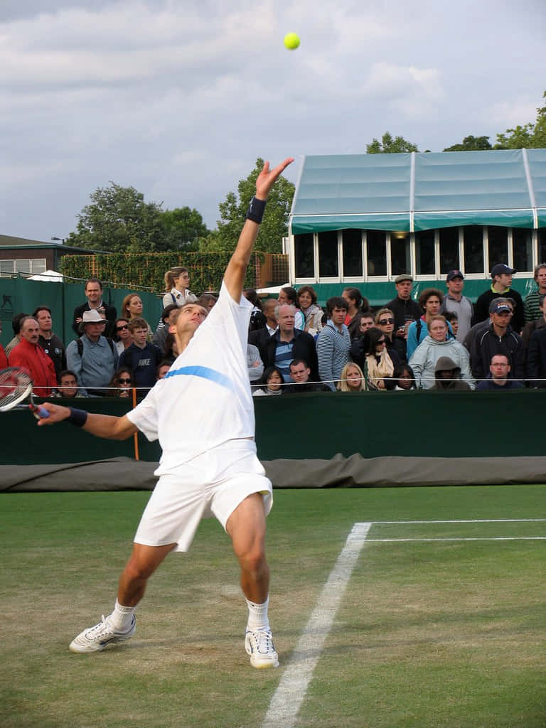 Max Mirnyi High Serve Background