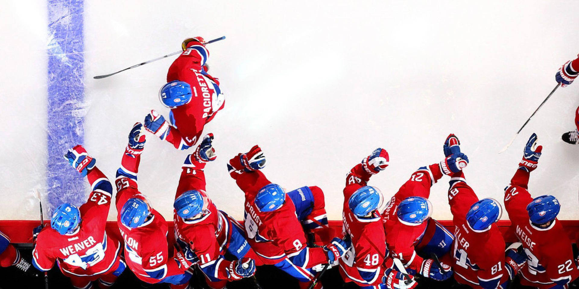 Max Pacioretty Montreal Canadiens Poster Bench Background