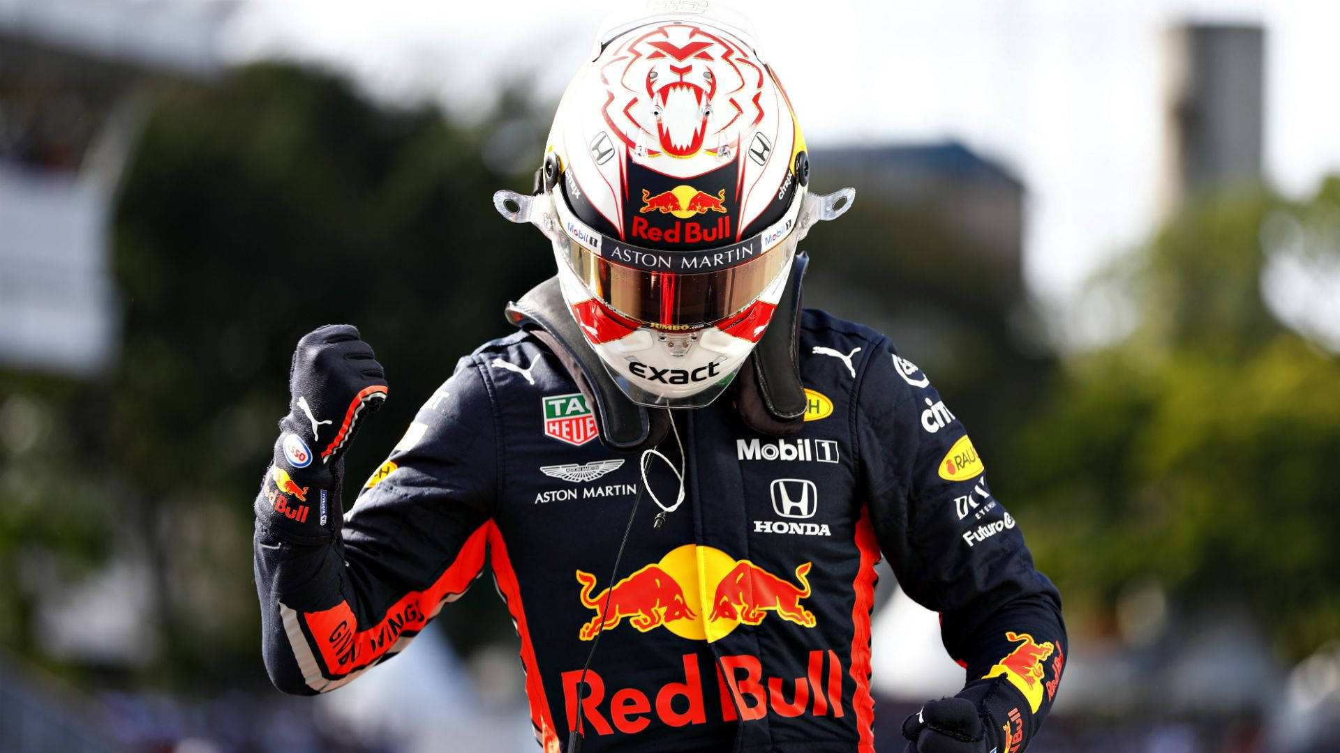 Max Verstappen Brazilian Grand Prix Background