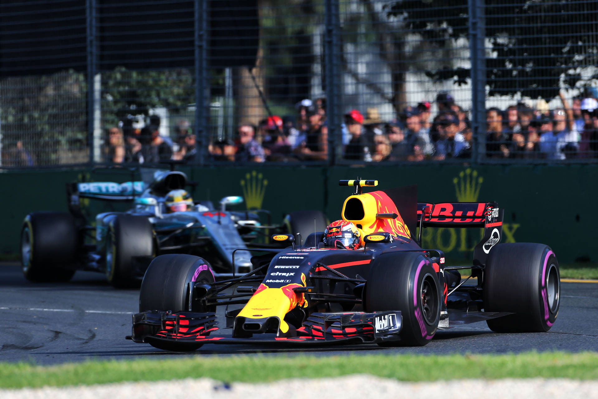 Max Verstappen Competing At The 2016 Australian Grand Prix Background