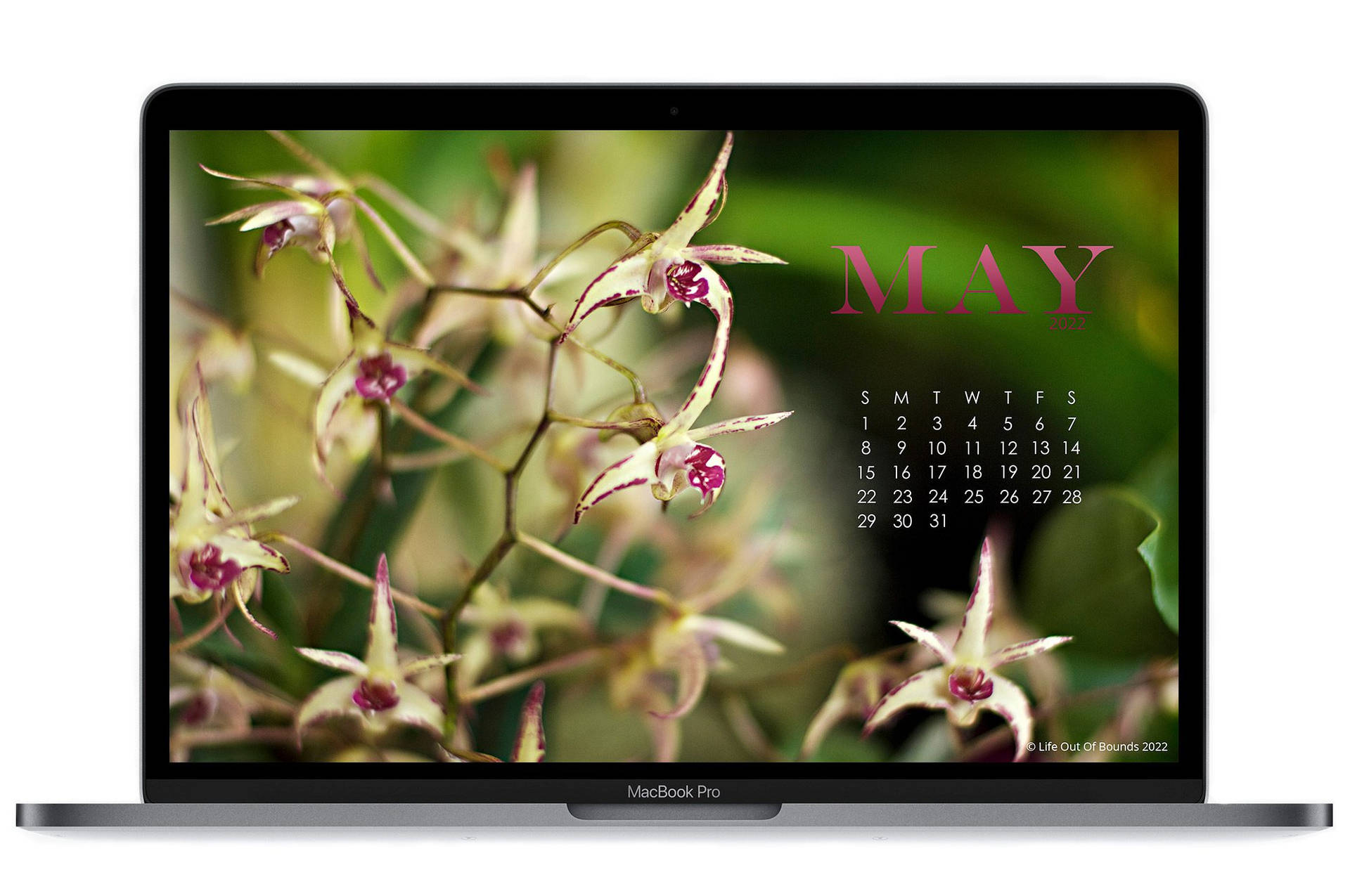 May 2022 Calendar 2000 X 1328 Background