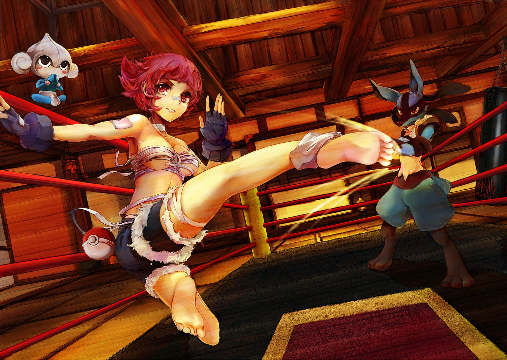 Maylene, Meditite, And Lucario Background