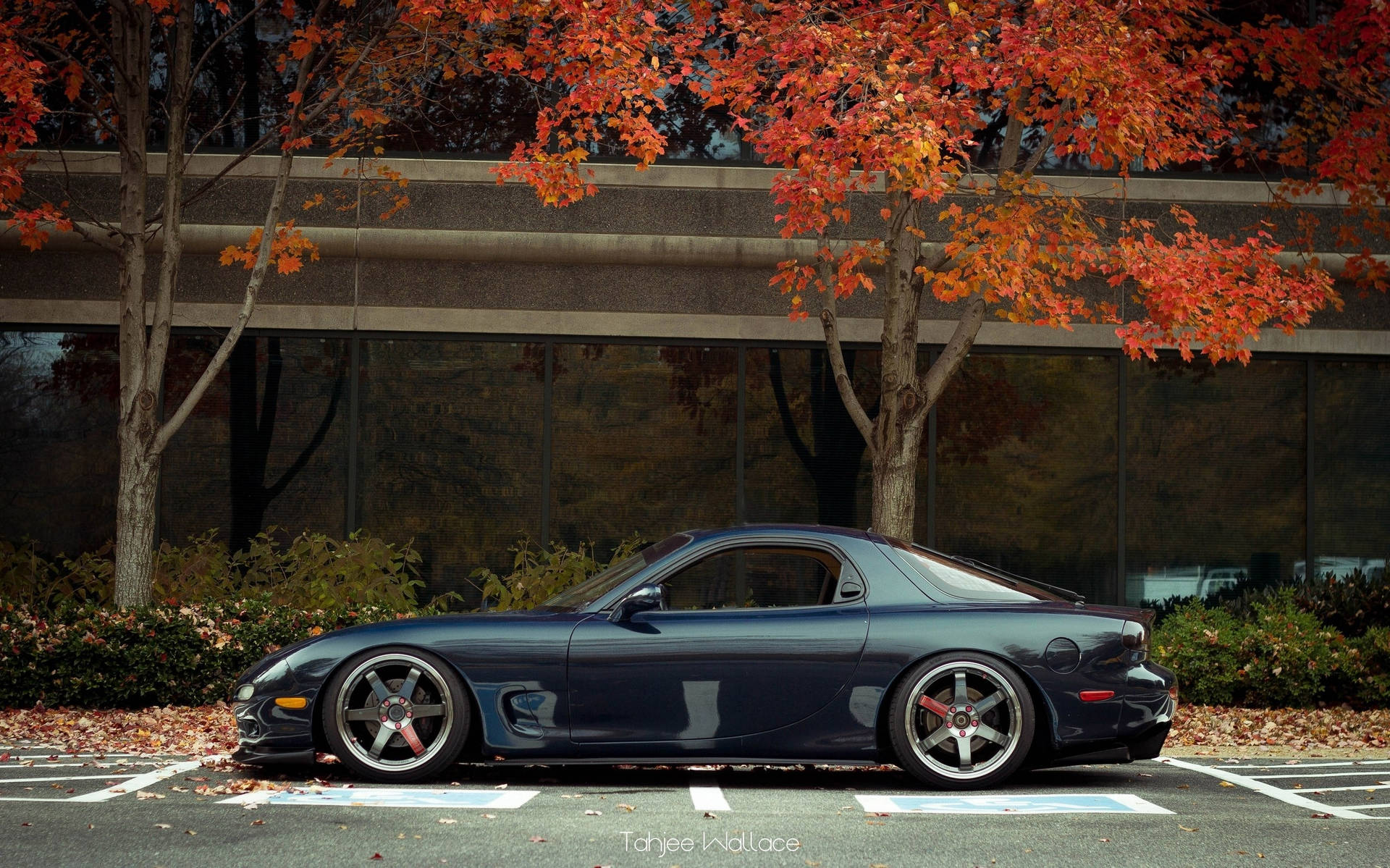 Mazda Rx-7 Building Side View Background