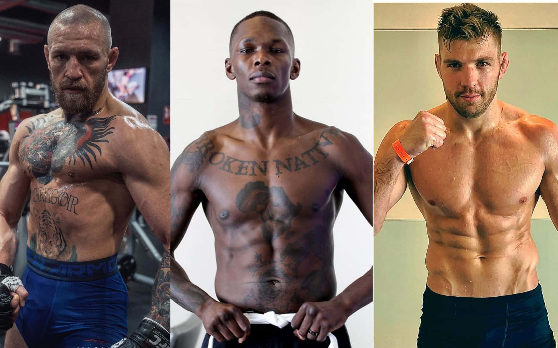 Mcgregor Adesanya And Dricus Du Plessis Background