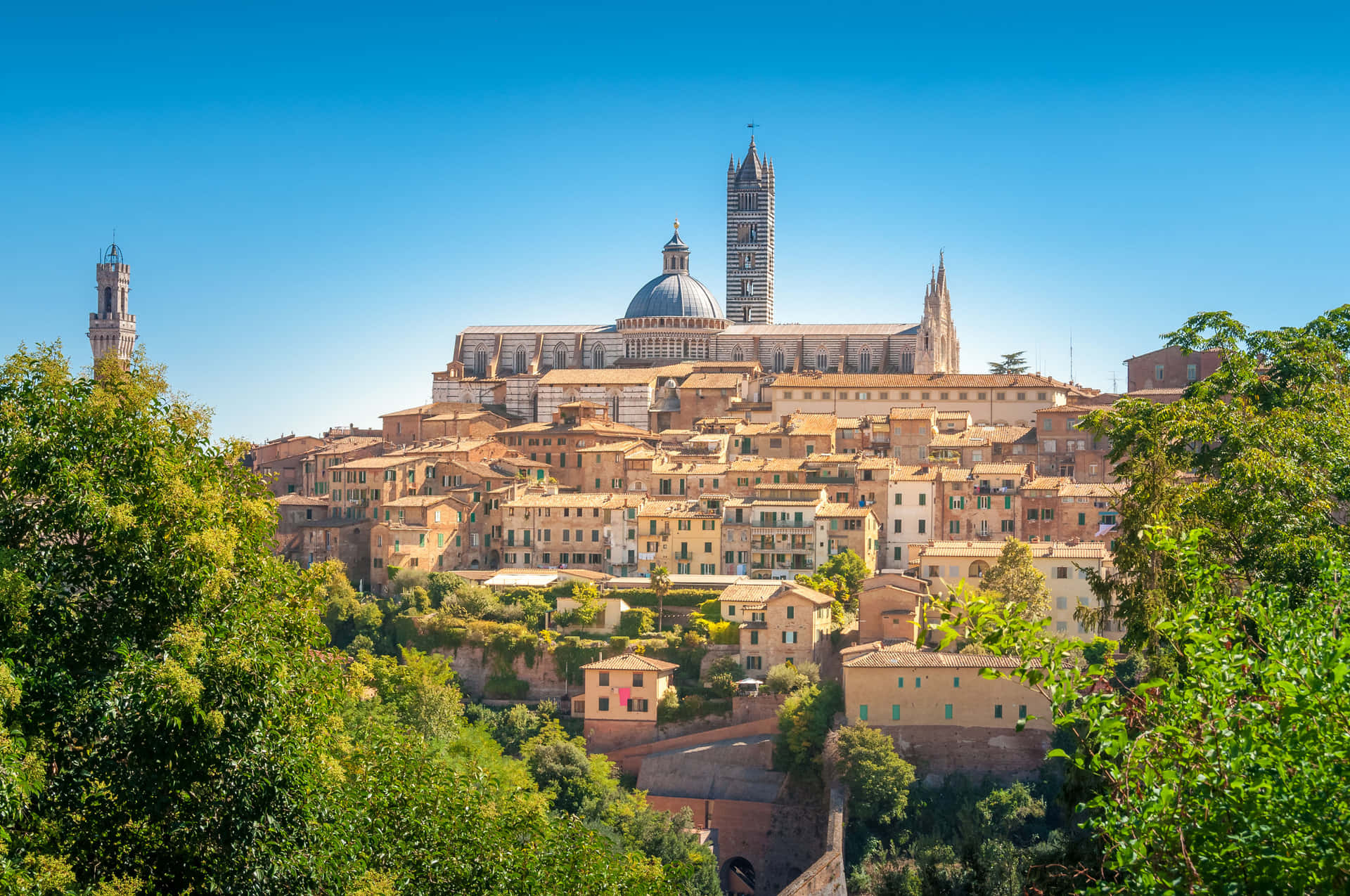 Medieval Buildings And Siena Cathedral Background