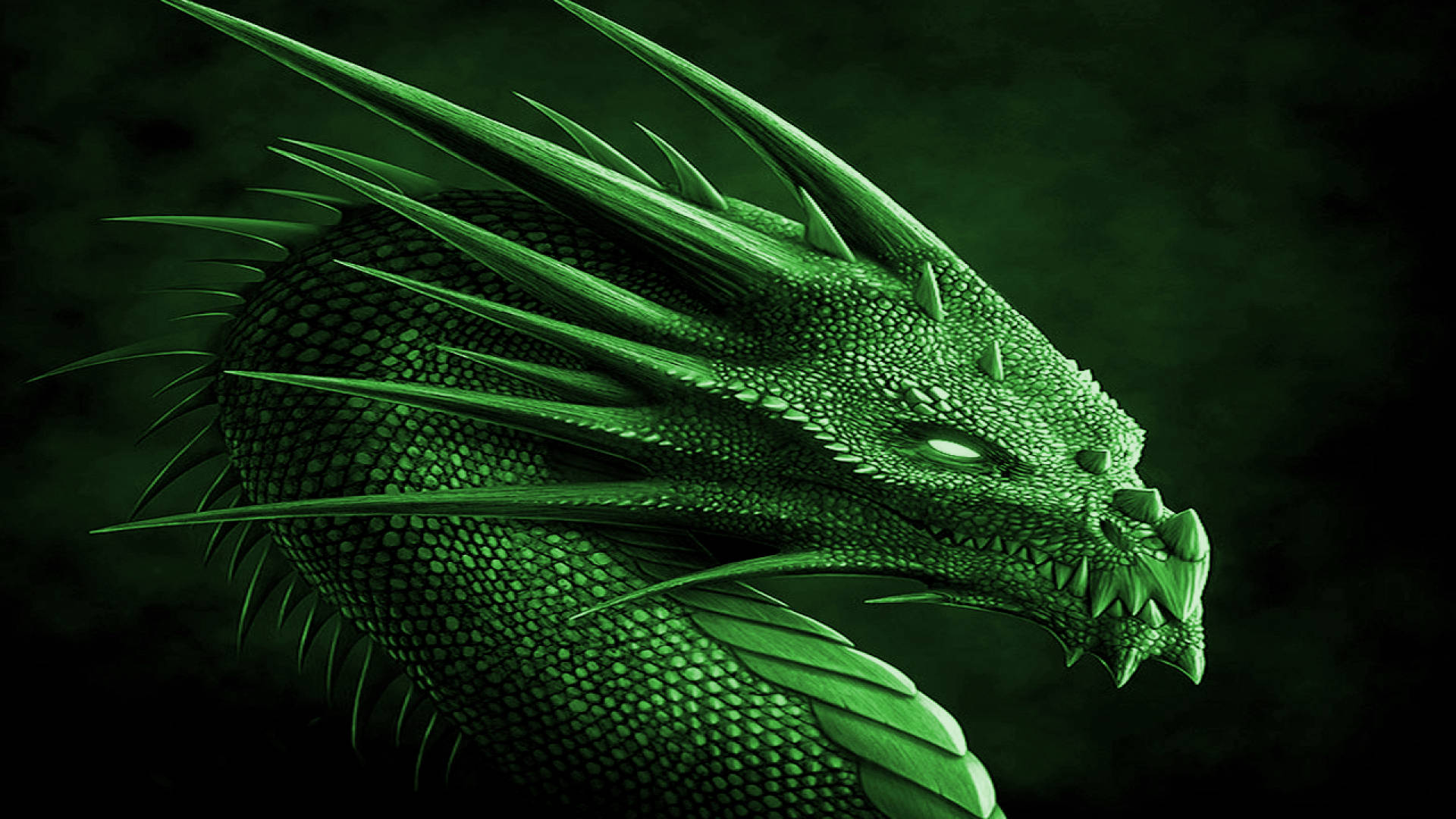 Medieval Green Dragon Head Background