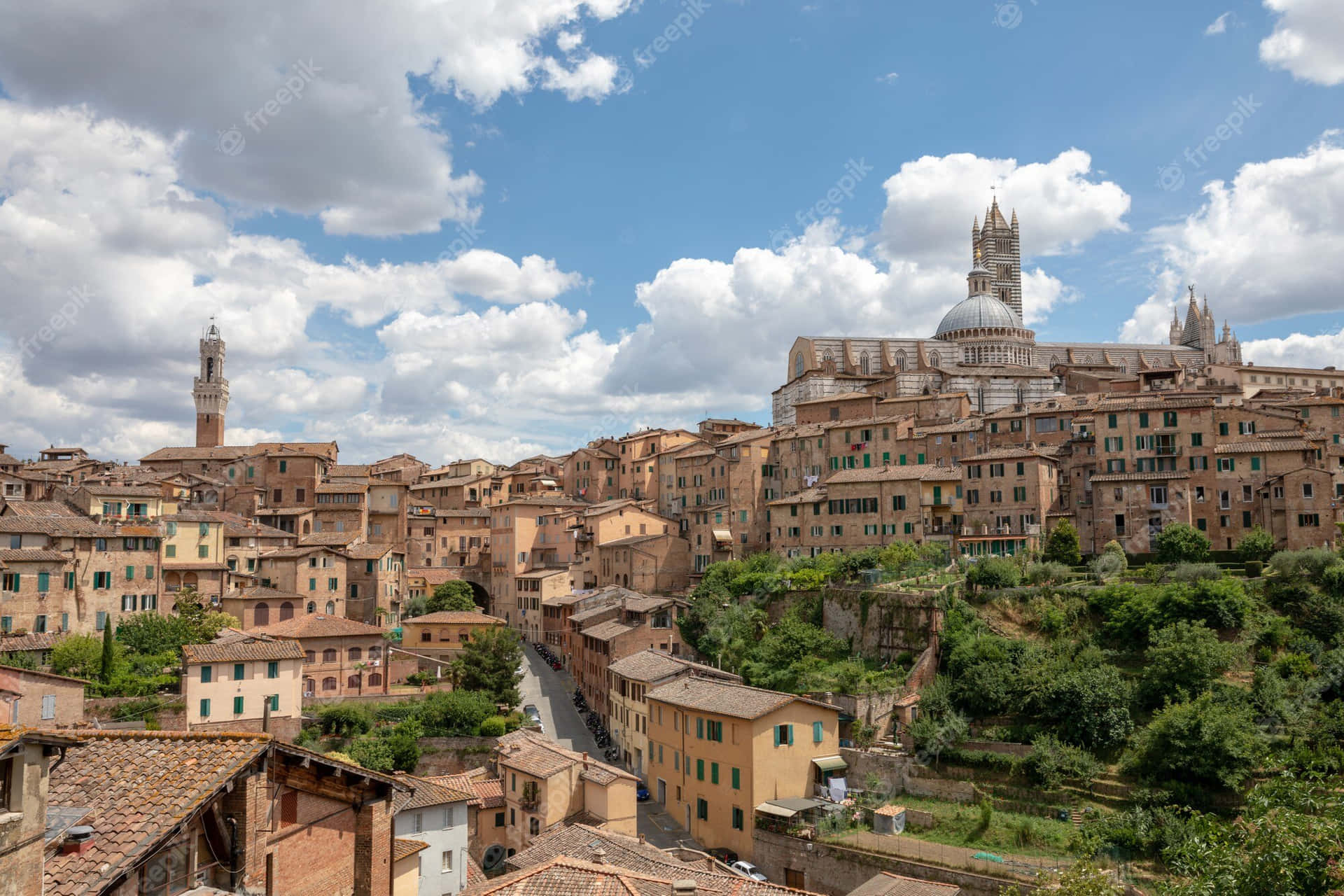 Medieval Houses And Buildings In Siena