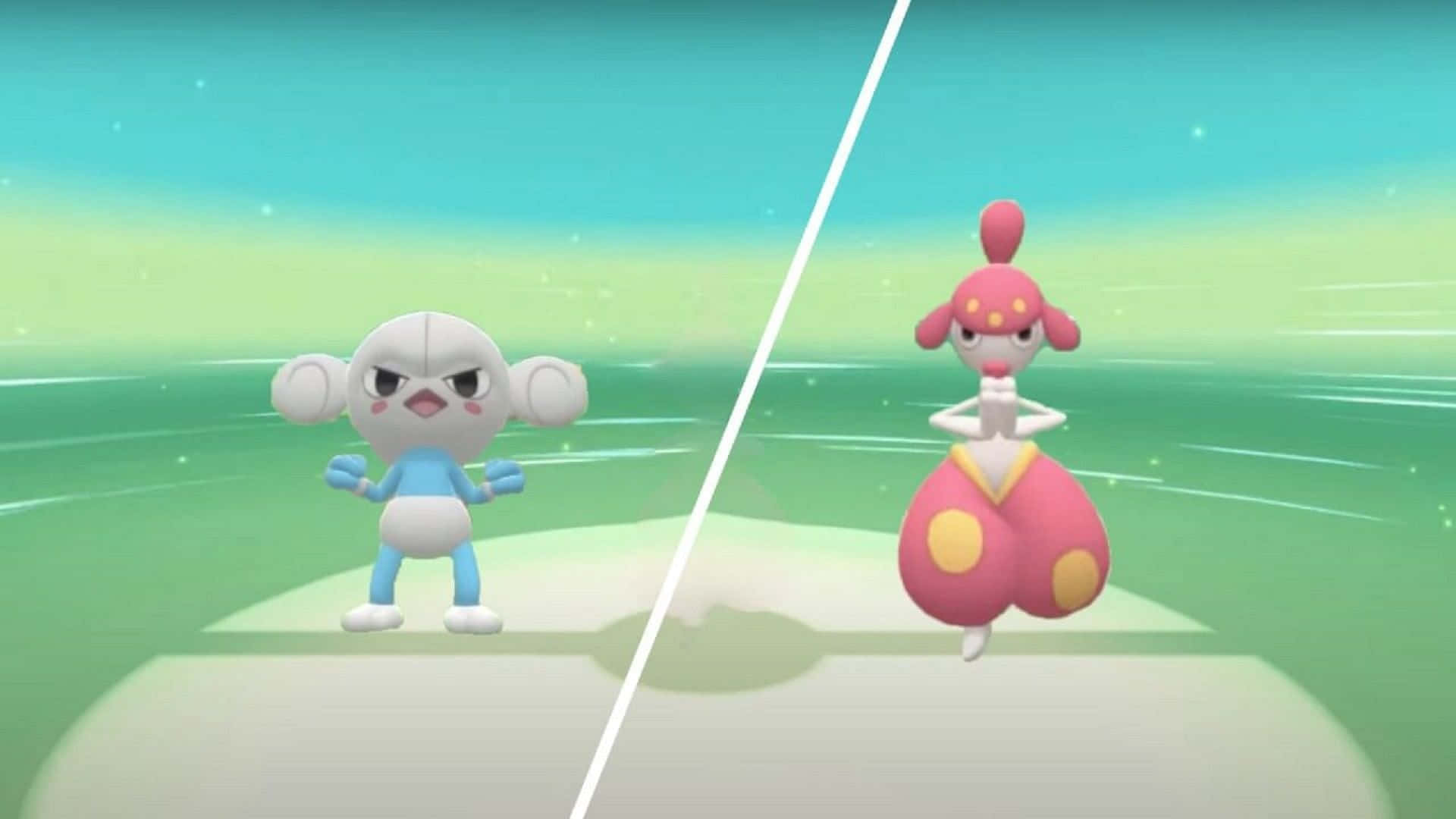 Meditite Medicham Beside Each Other Background