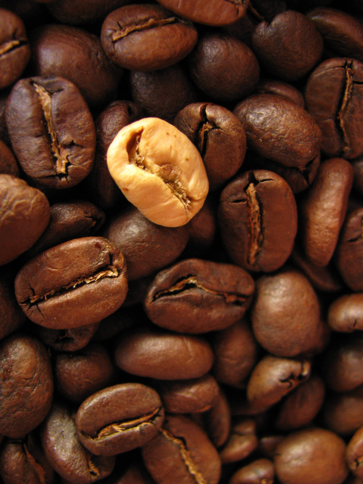 Medium Roast Coffee Beans