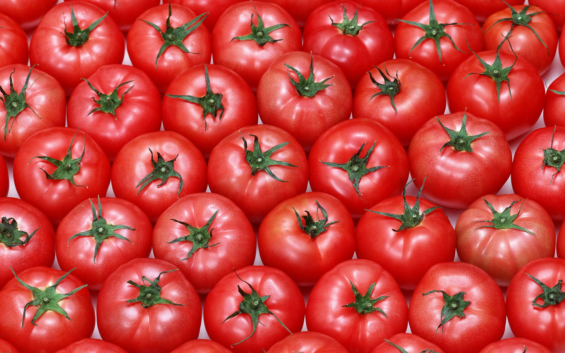 Medium Sized Tomato Fruits Background Background