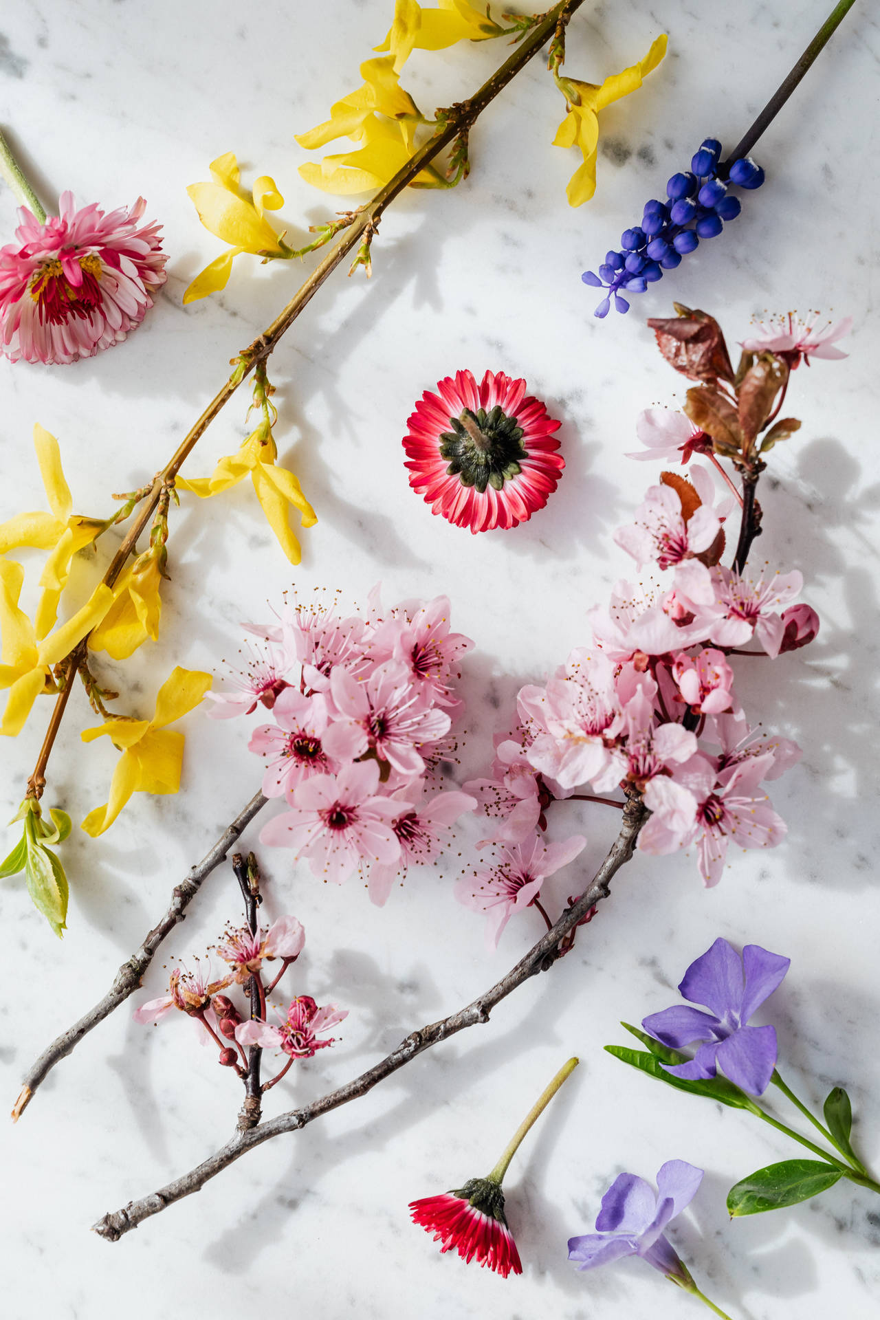 Medley Of Colorful Flowers Background