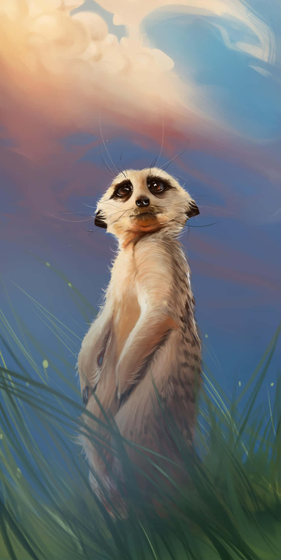 Meerkat Sunset Gaze.jpg