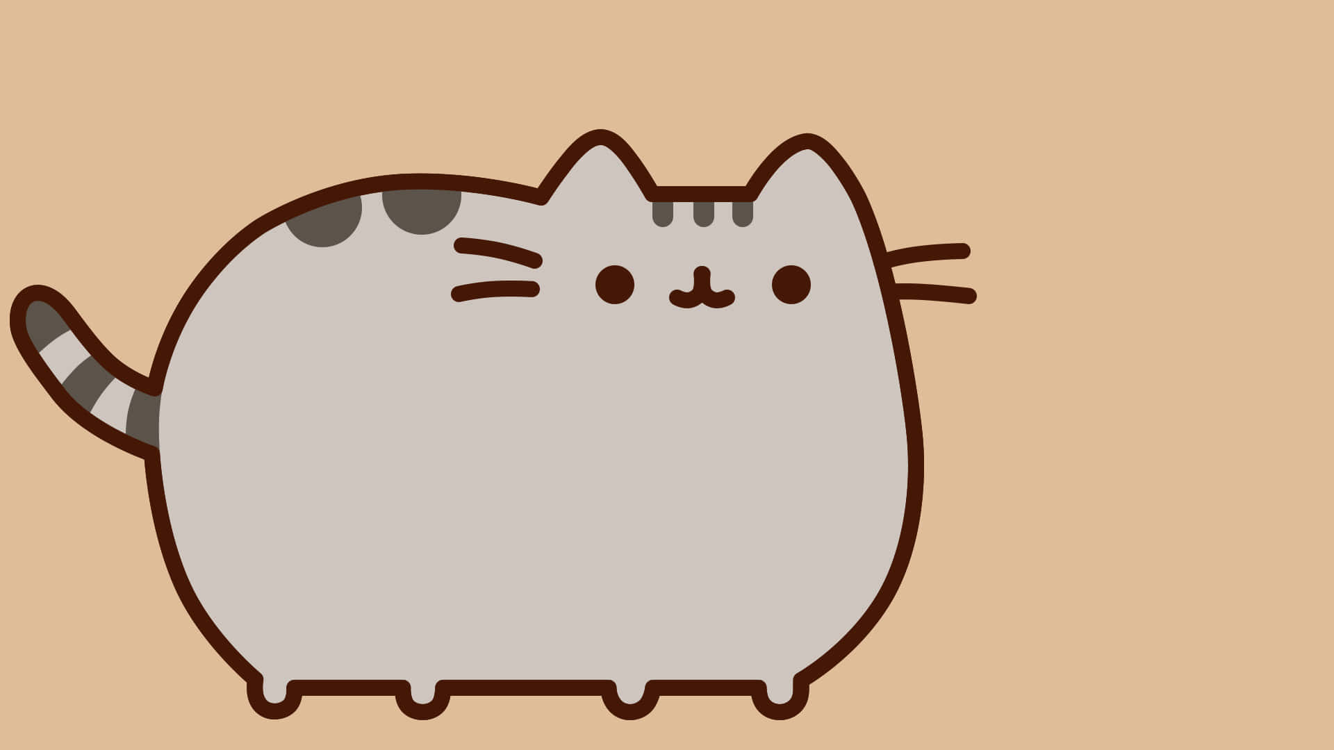 Meet Pusheen, The Cutest Kitty On The Planet! Background