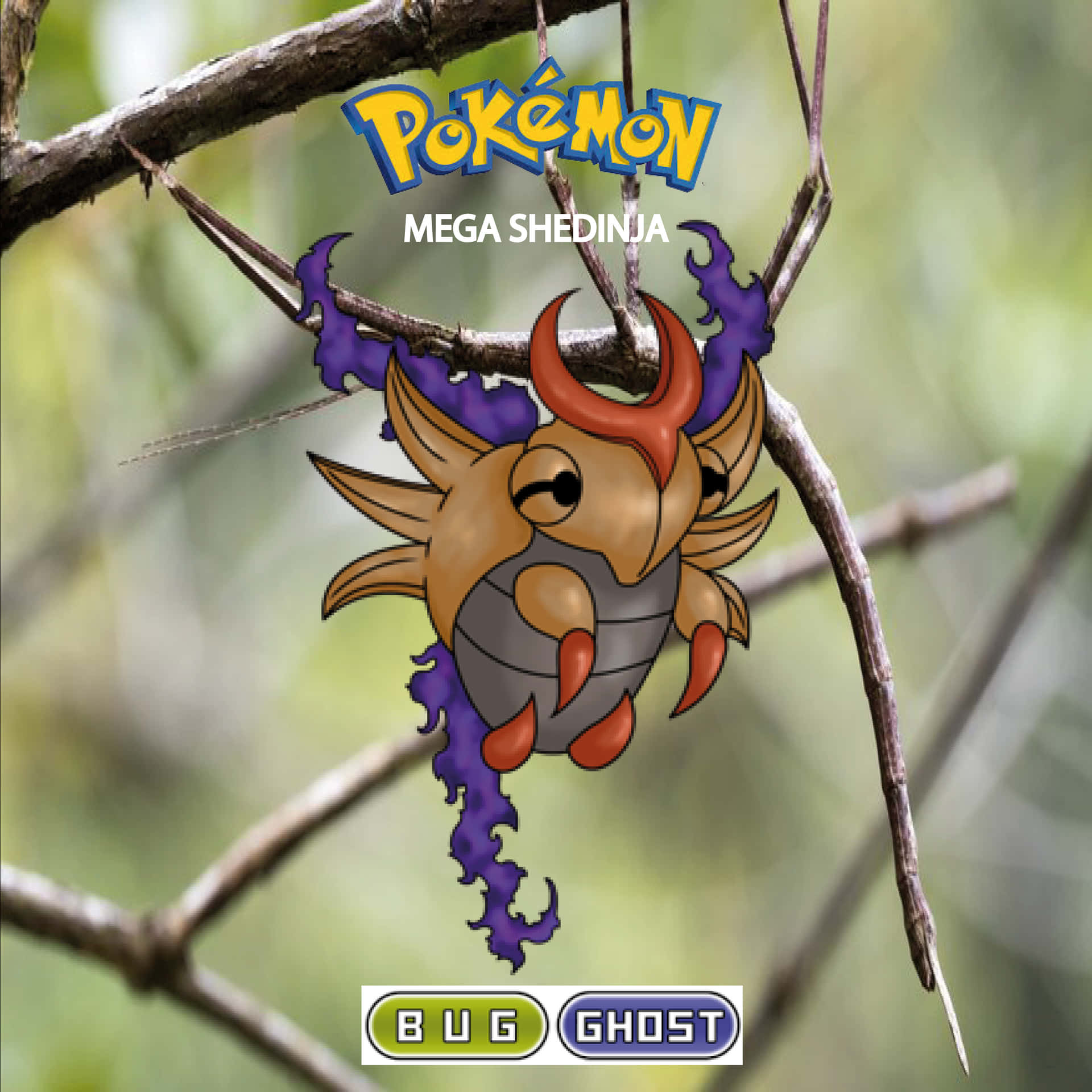 Mega Shedinja Background