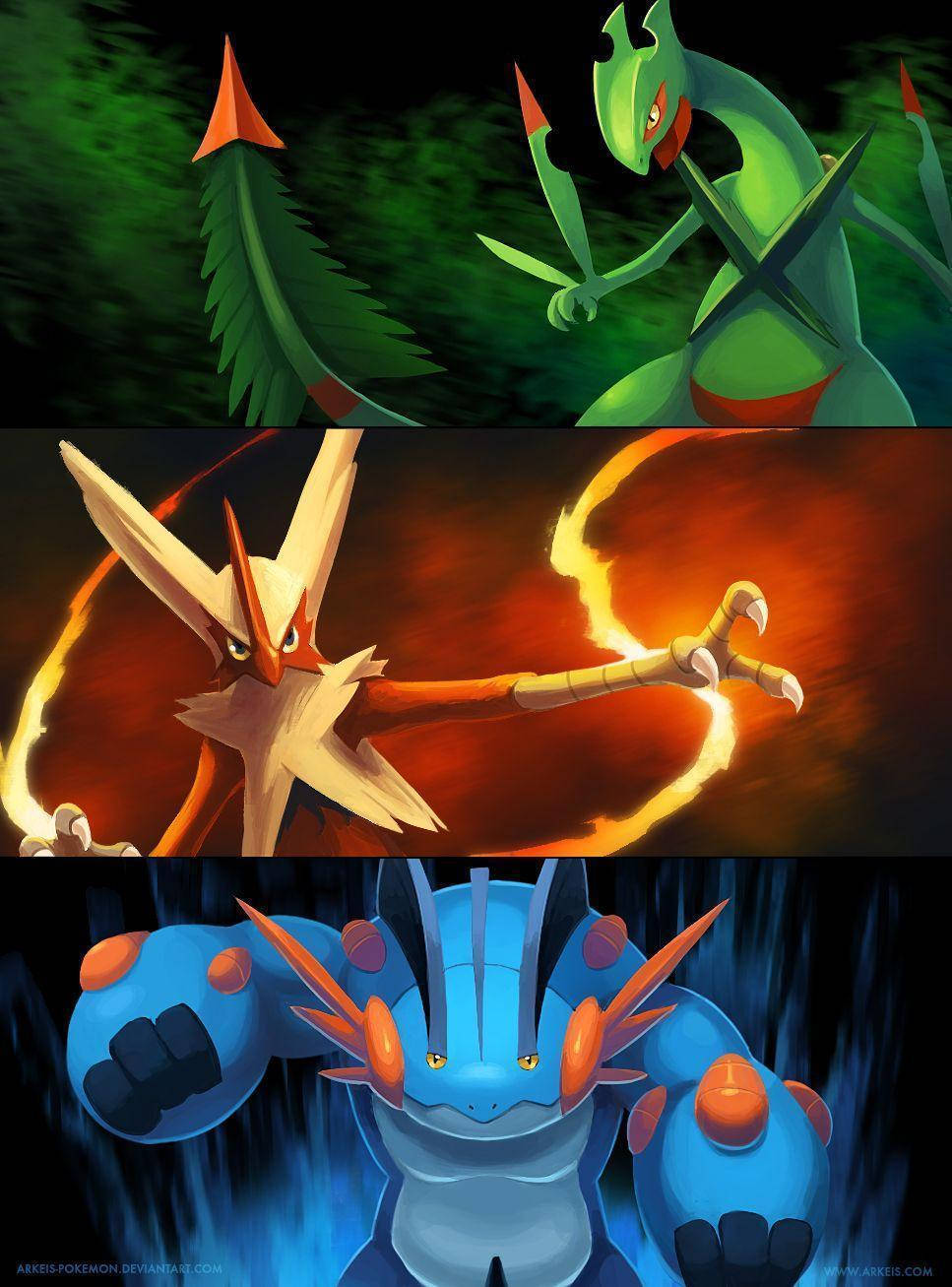 Mega Swampert Elemental Collage