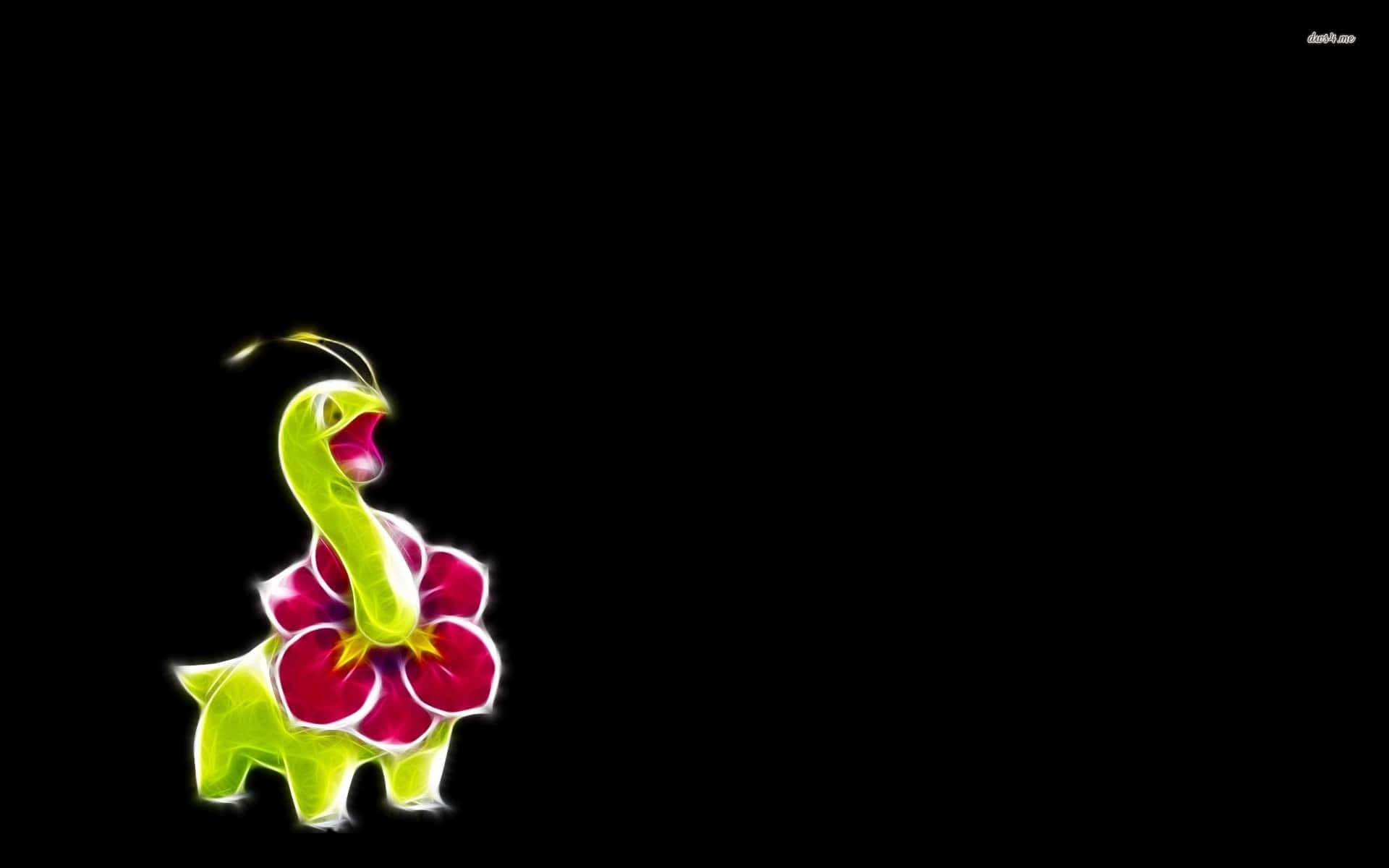Meganium Pokemon On Black Background Background