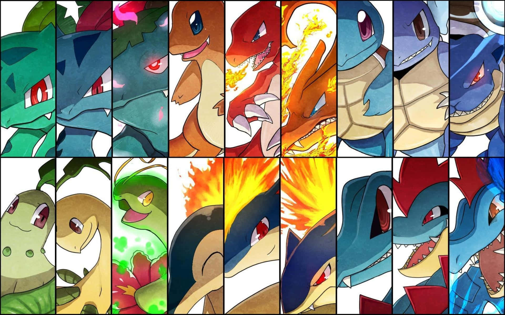 Meganium - The Bright Bloom Pokemon Background