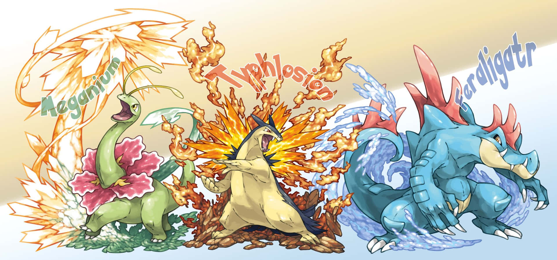 Meganium, Typhlosion, And Feraligatr Pokemon Background