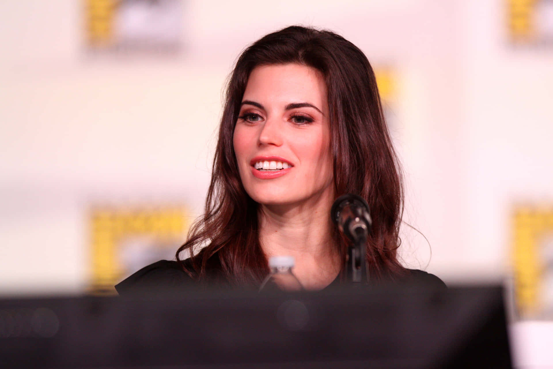 Meghan_ Ory_ Panel_ Discussion Background