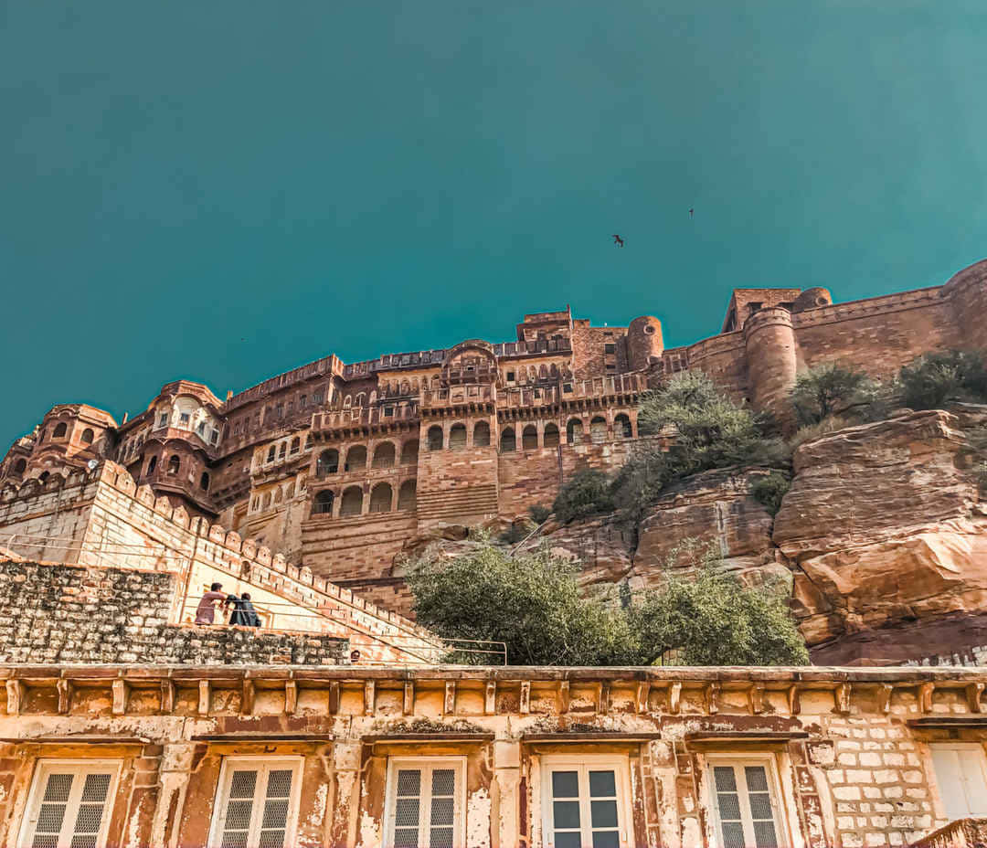 Mehrangarh Fort Cliff Trees