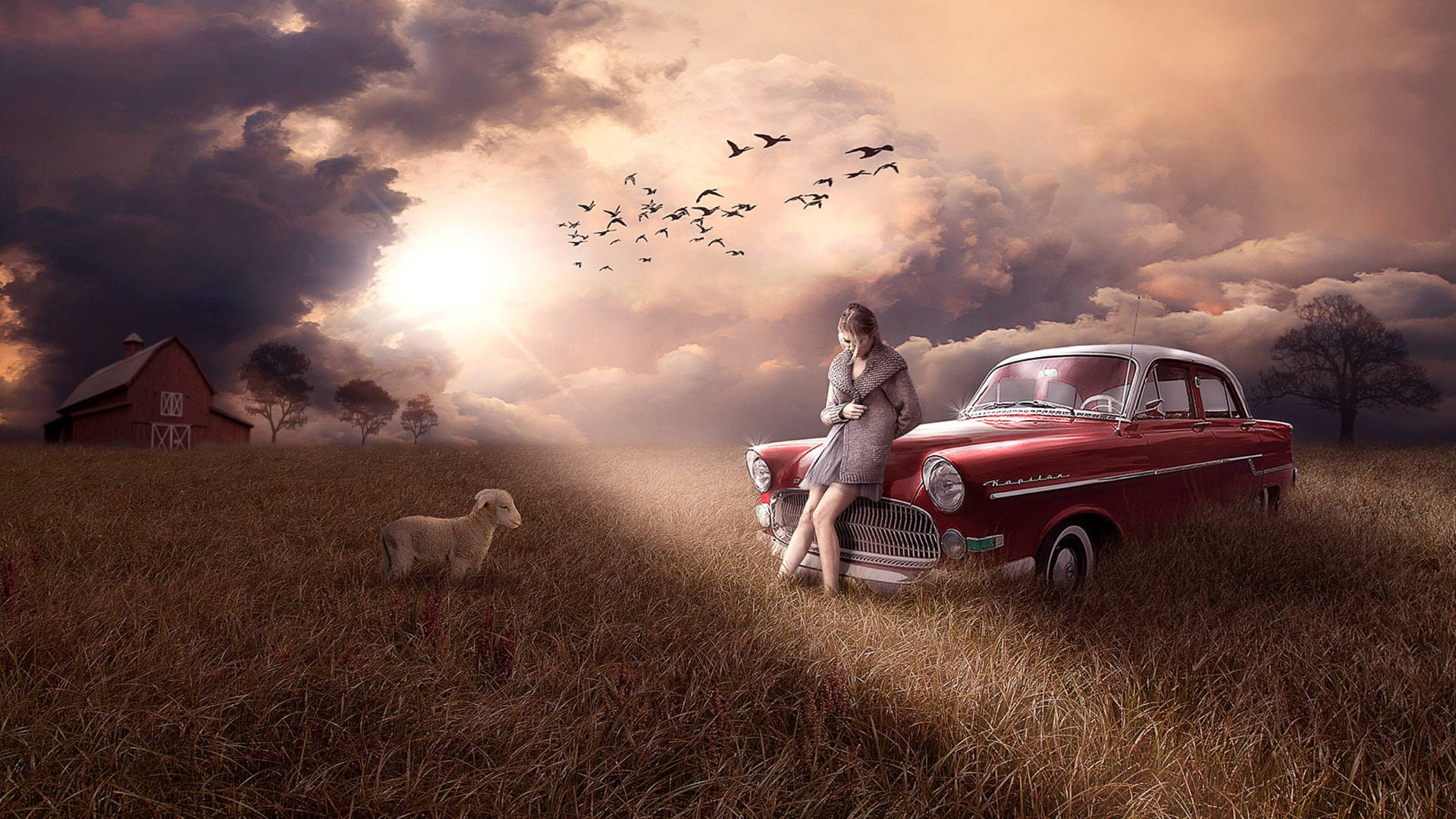 Melancholy Woman And Dog Background