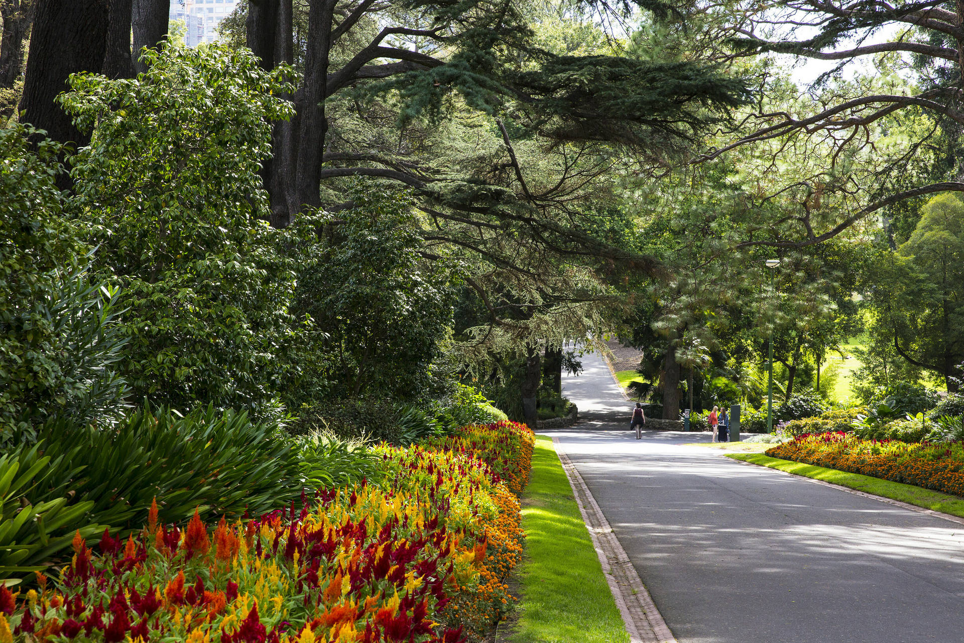 Melbourne Fitzroy Gardens Background