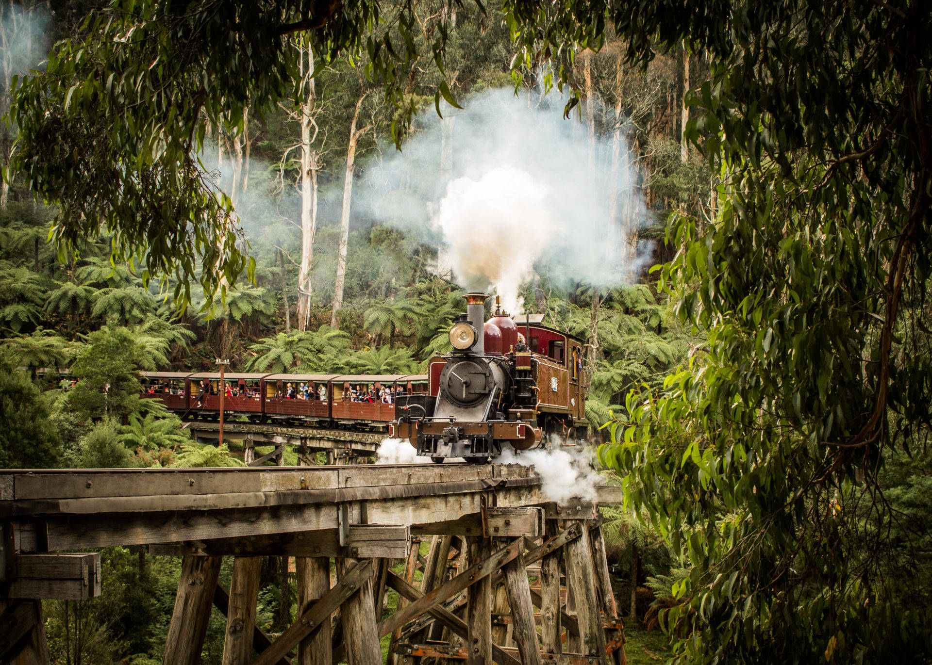 Melbourne Puffing Billy Railway Background