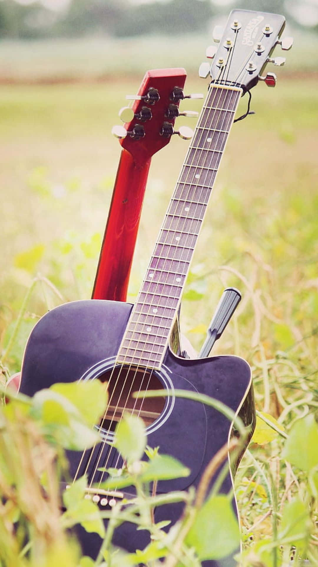 Melody In Nature: An Acoustic Guitar In An Emerald Field