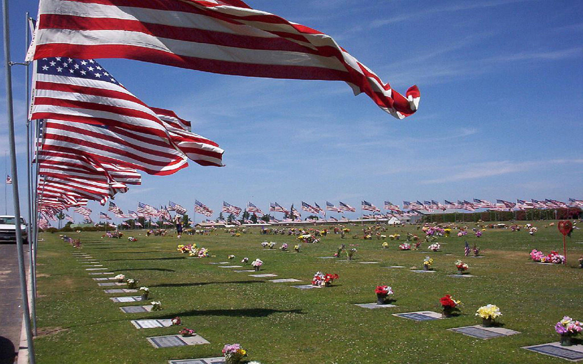 Memorial Day Flags At Cemetery Background