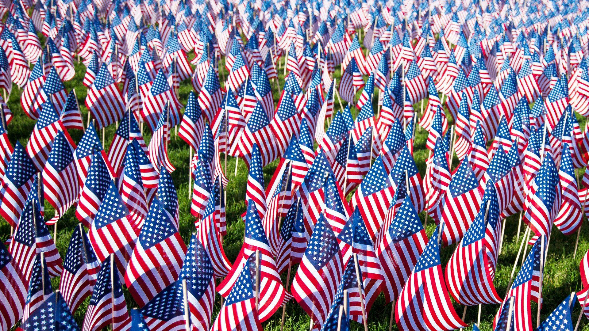 Memorial Day Flags On Grass Background