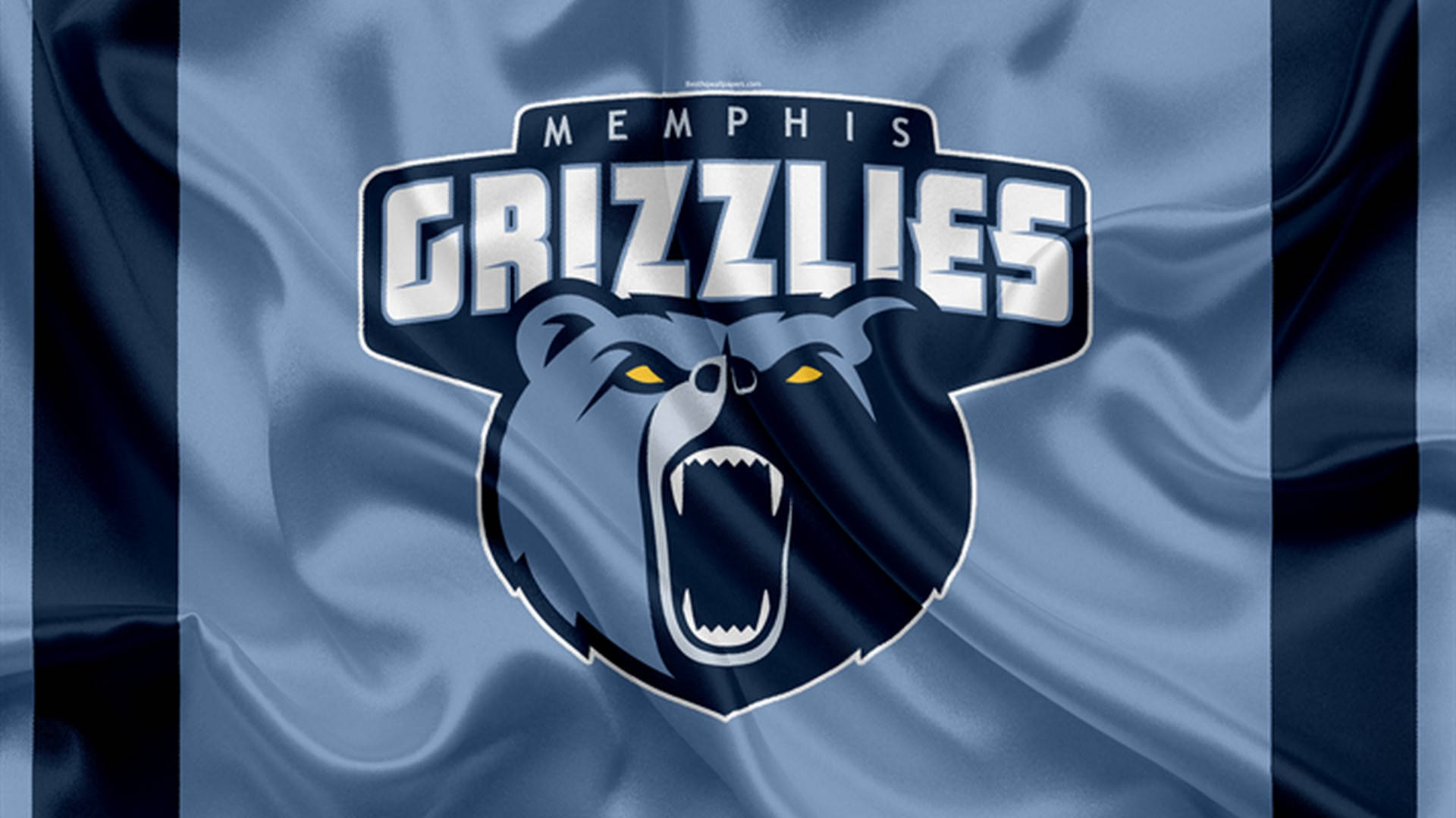 Memphis Grizzlies Team