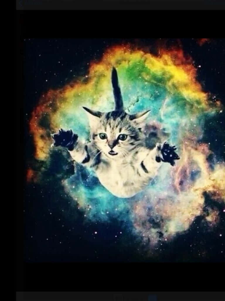 “meow In The Final Frontier: Cats Exploring The Universe!” Background